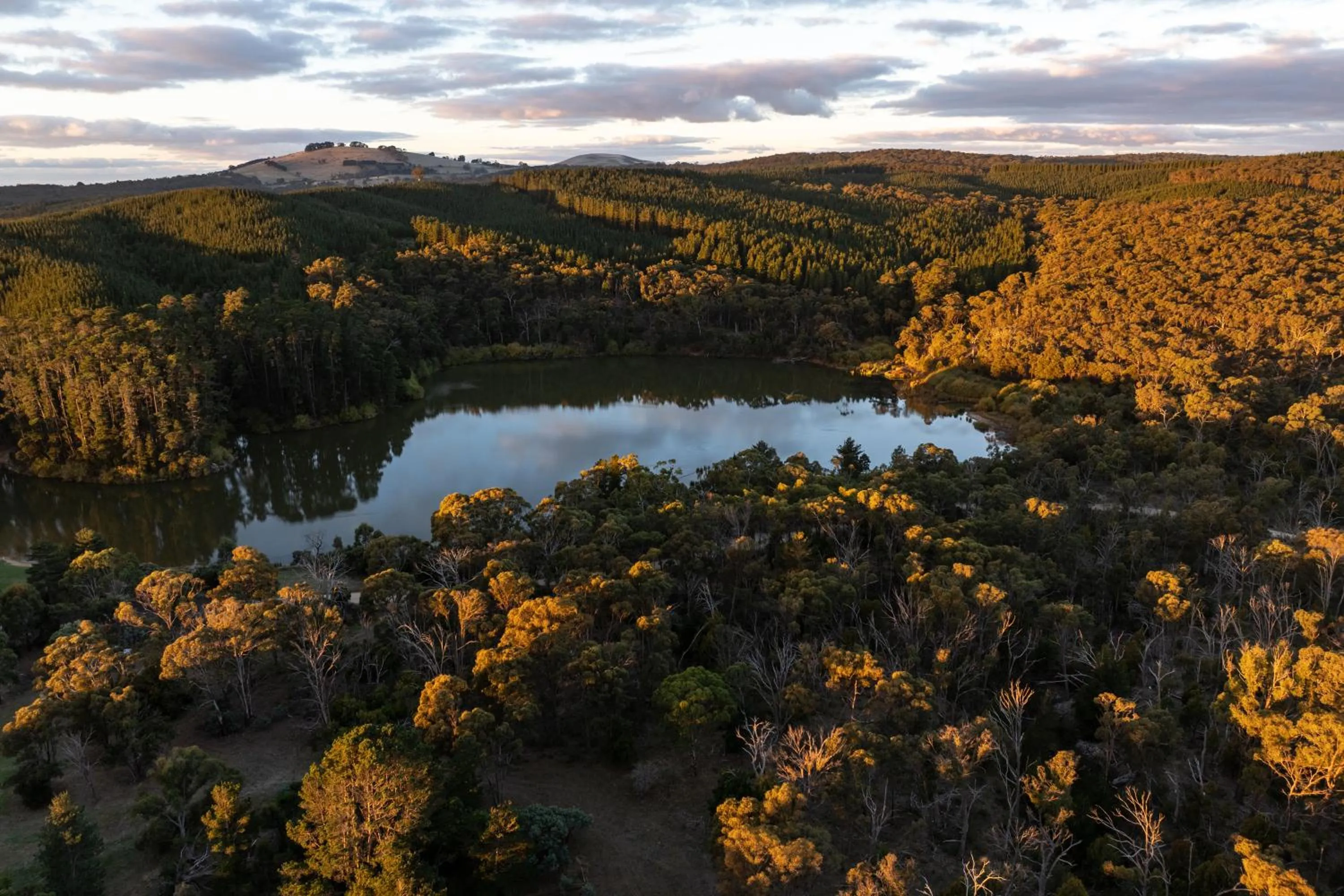 Tell Tales Bed & Breakfast