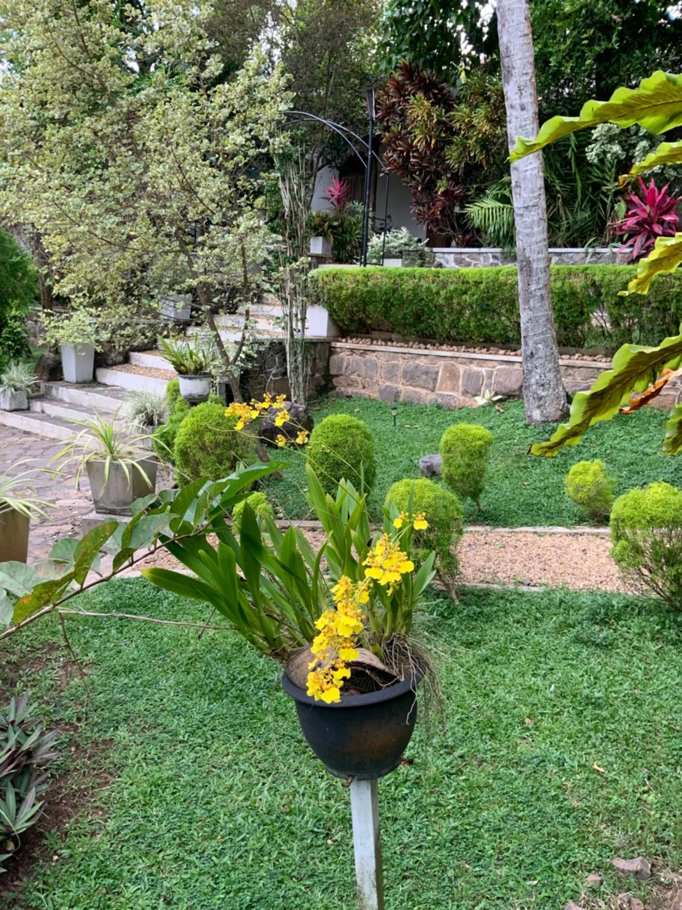 Day in Lali Villa & Fruit Garden