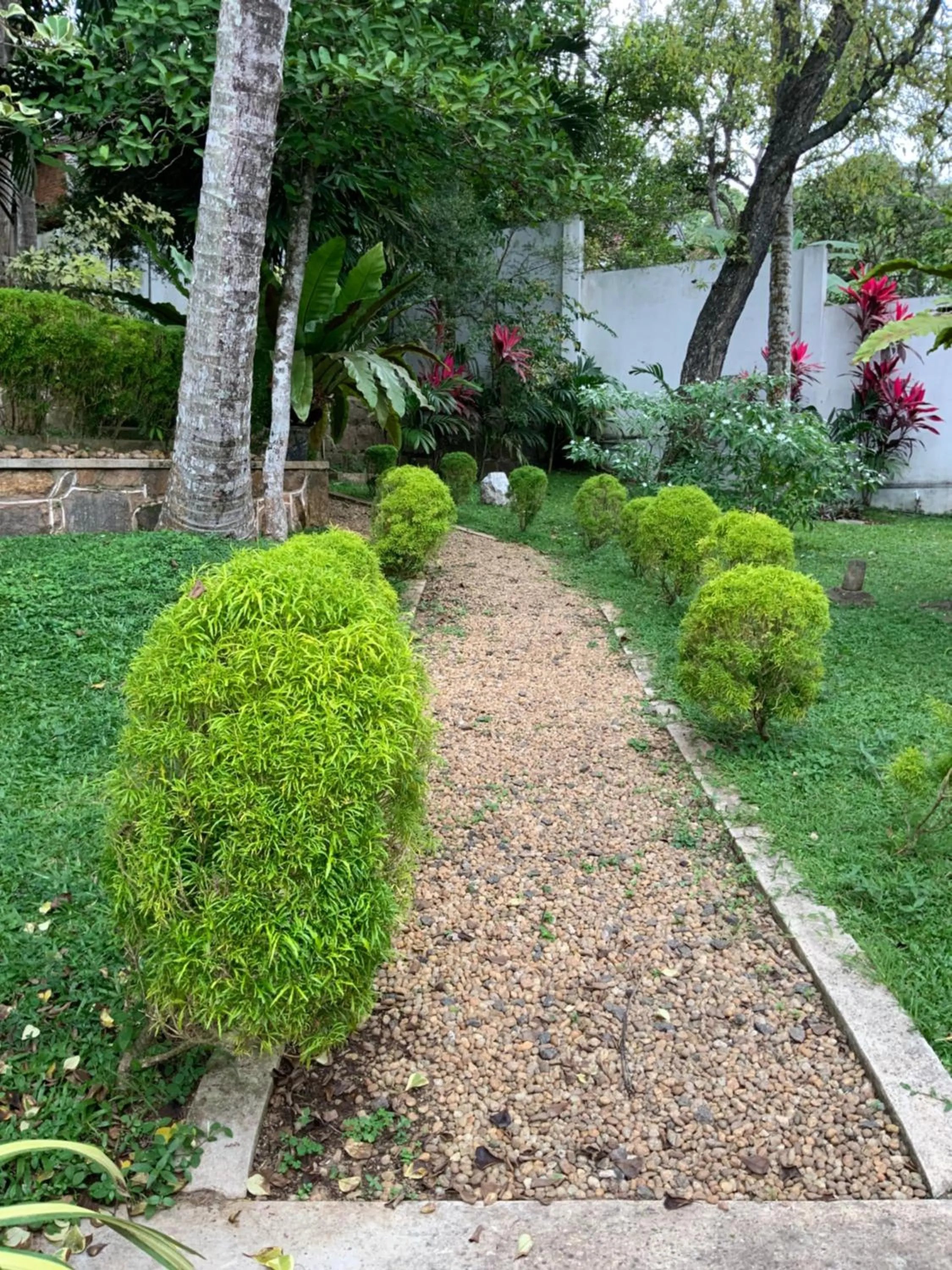 Garden in Lali Villa & Fruit Garden