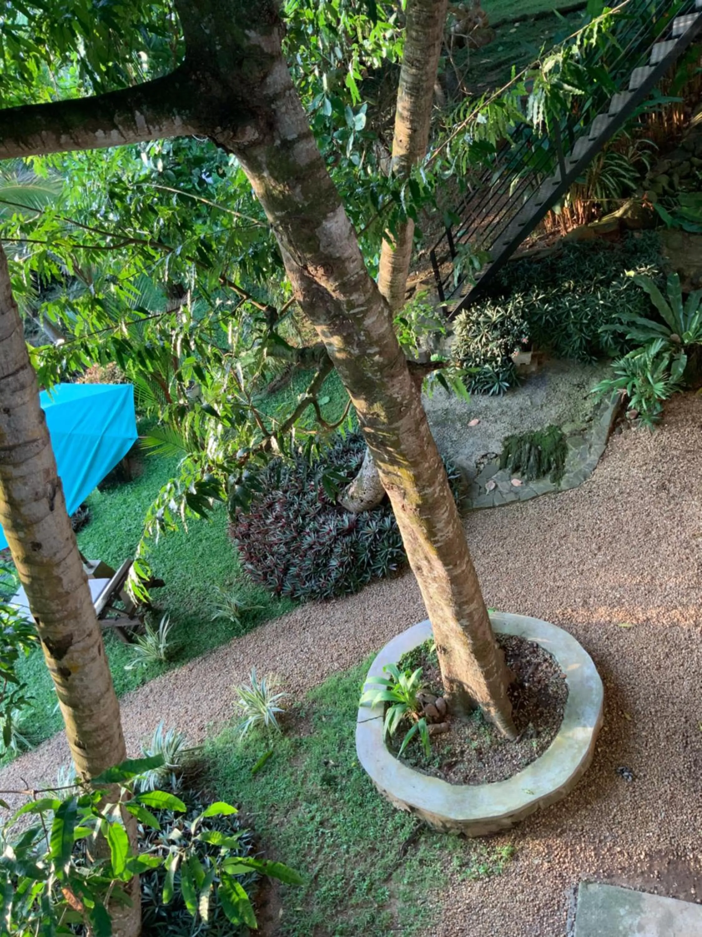 Garden view in Lali Villa & Fruit Garden