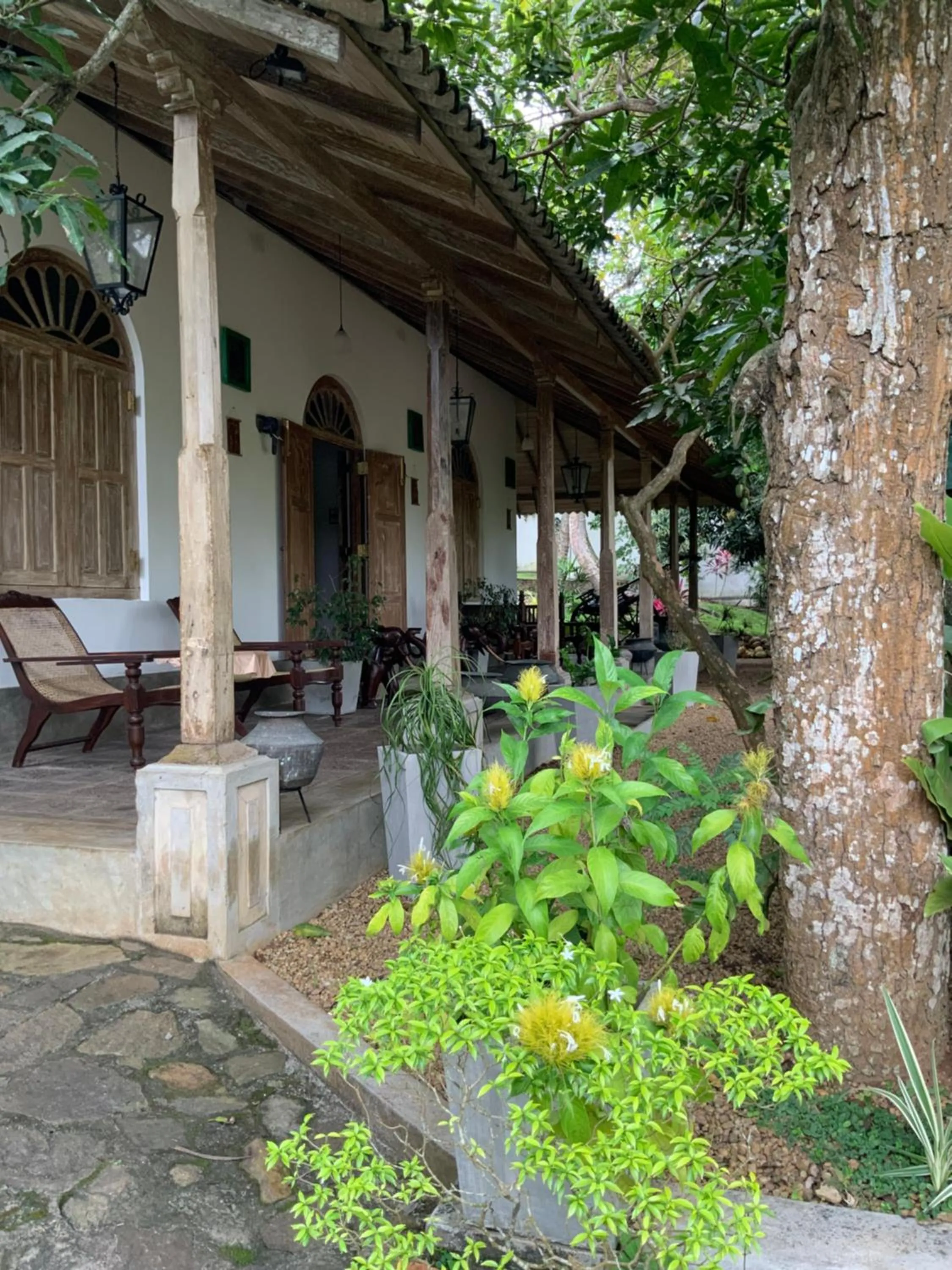 Property building in Lali Villa & Fruit Garden