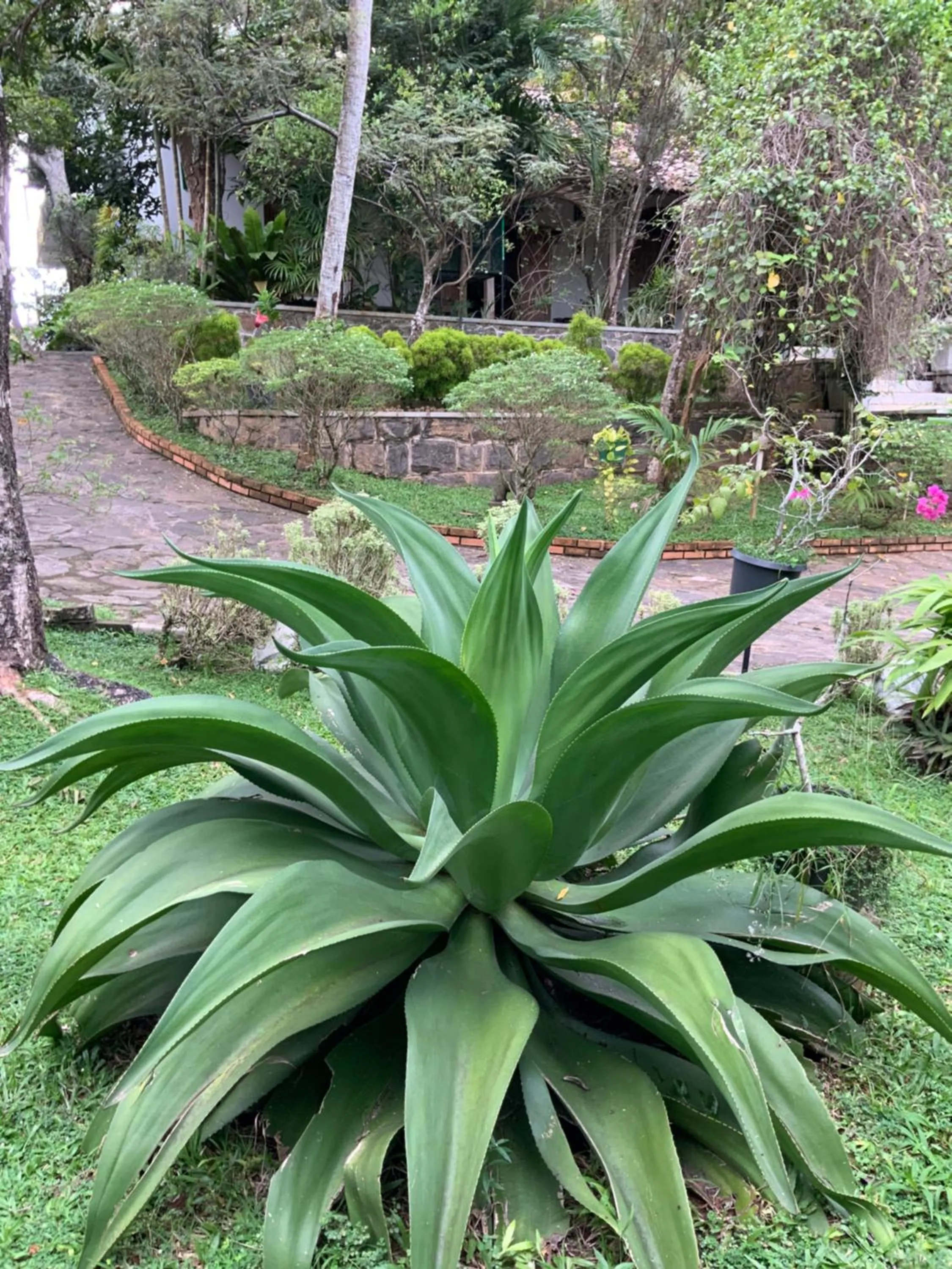 Garden in Lali Villa & Fruit Garden