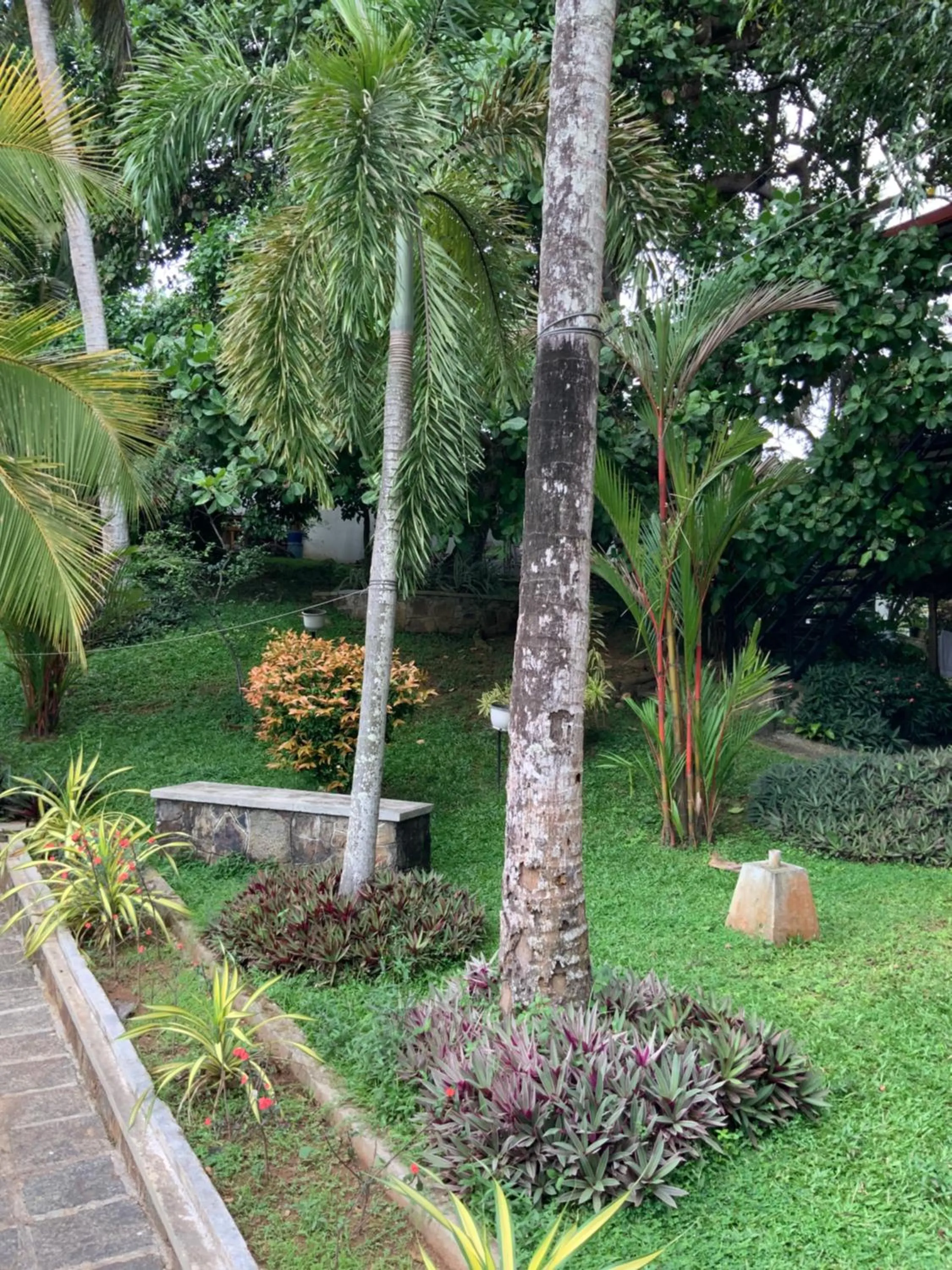 Day in Lali Villa & Fruit Garden