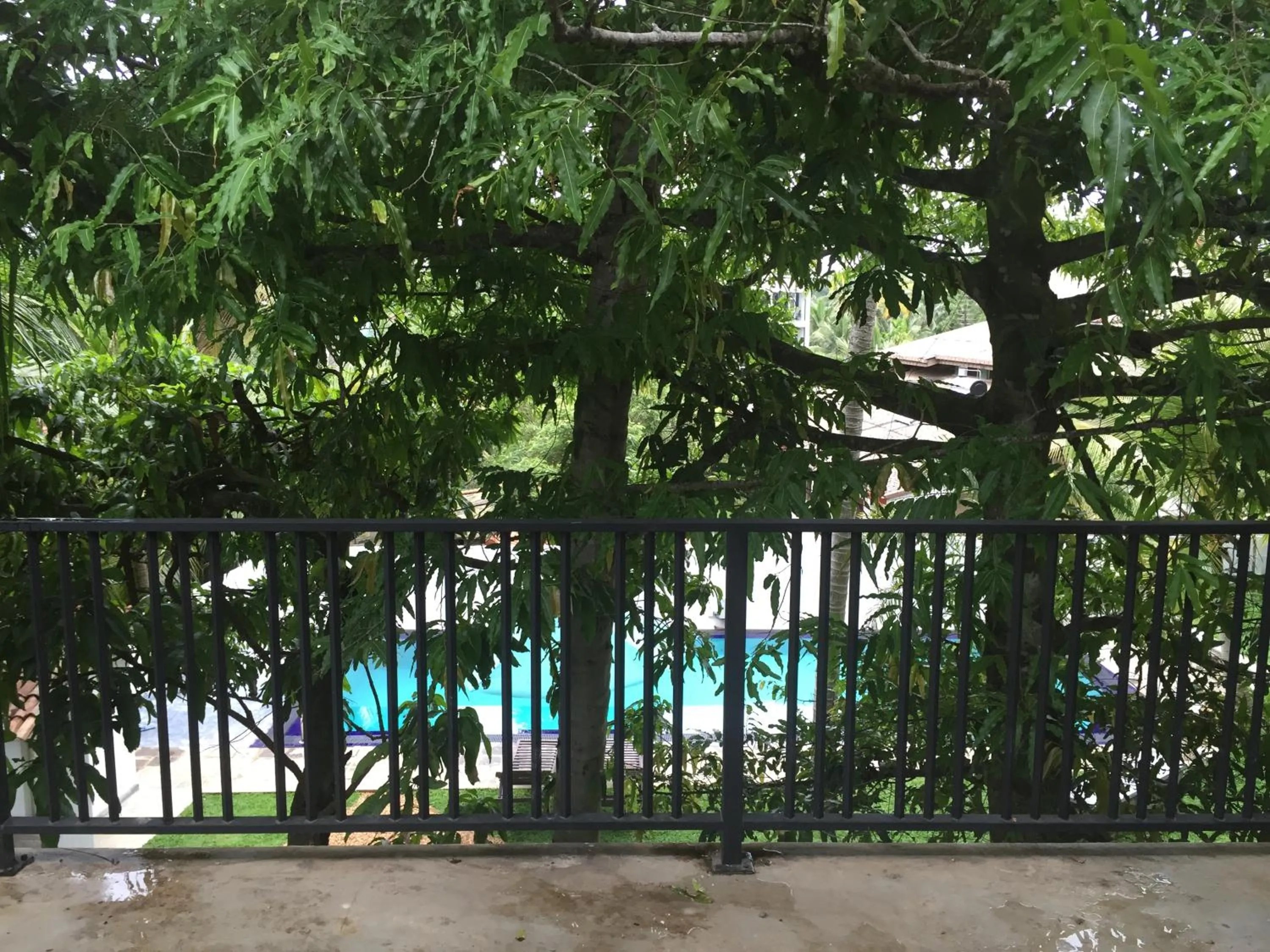 Pool view in Lali Villa & Fruit Garden