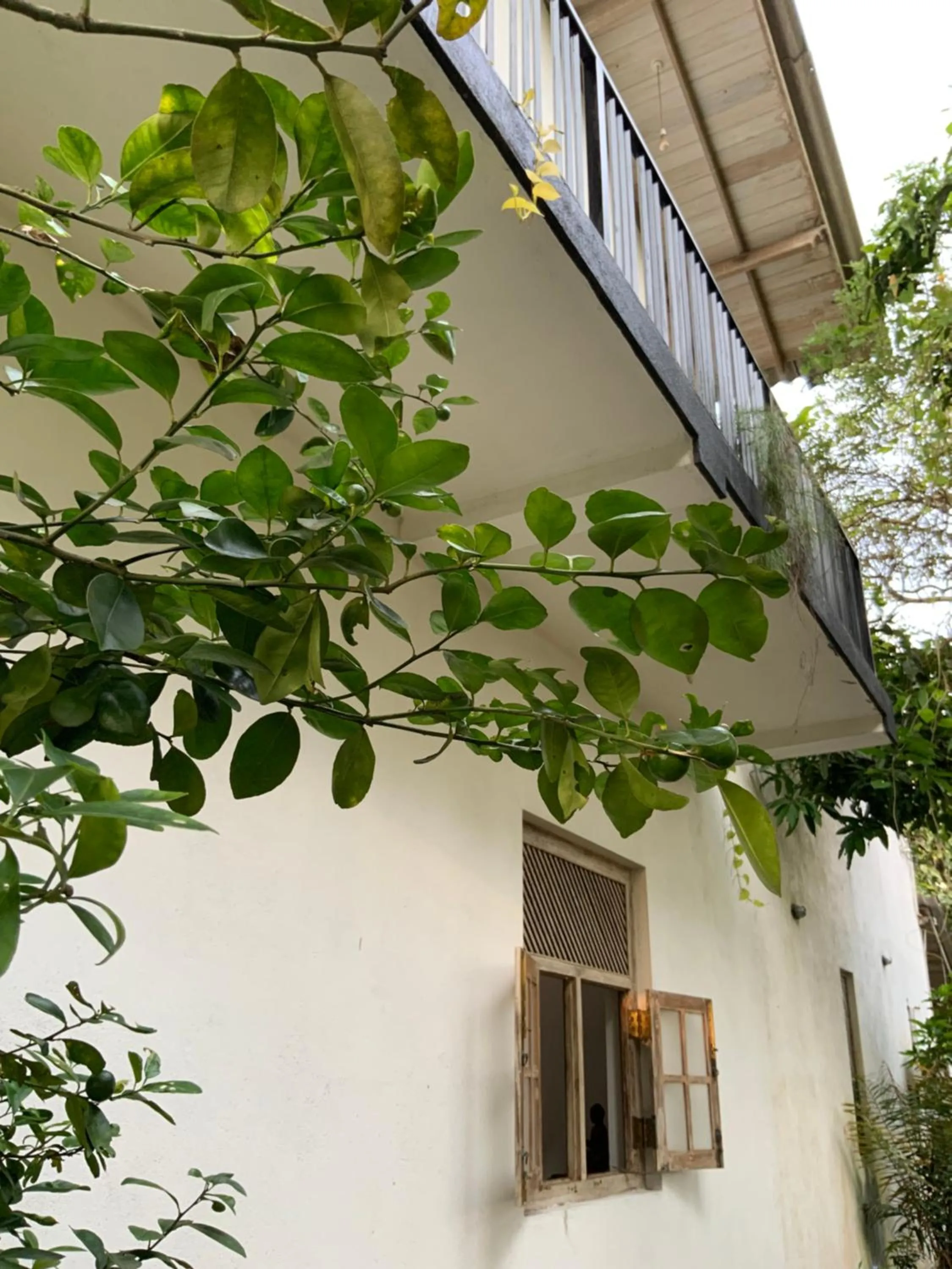 Property building in Lali Villa & Fruit Garden