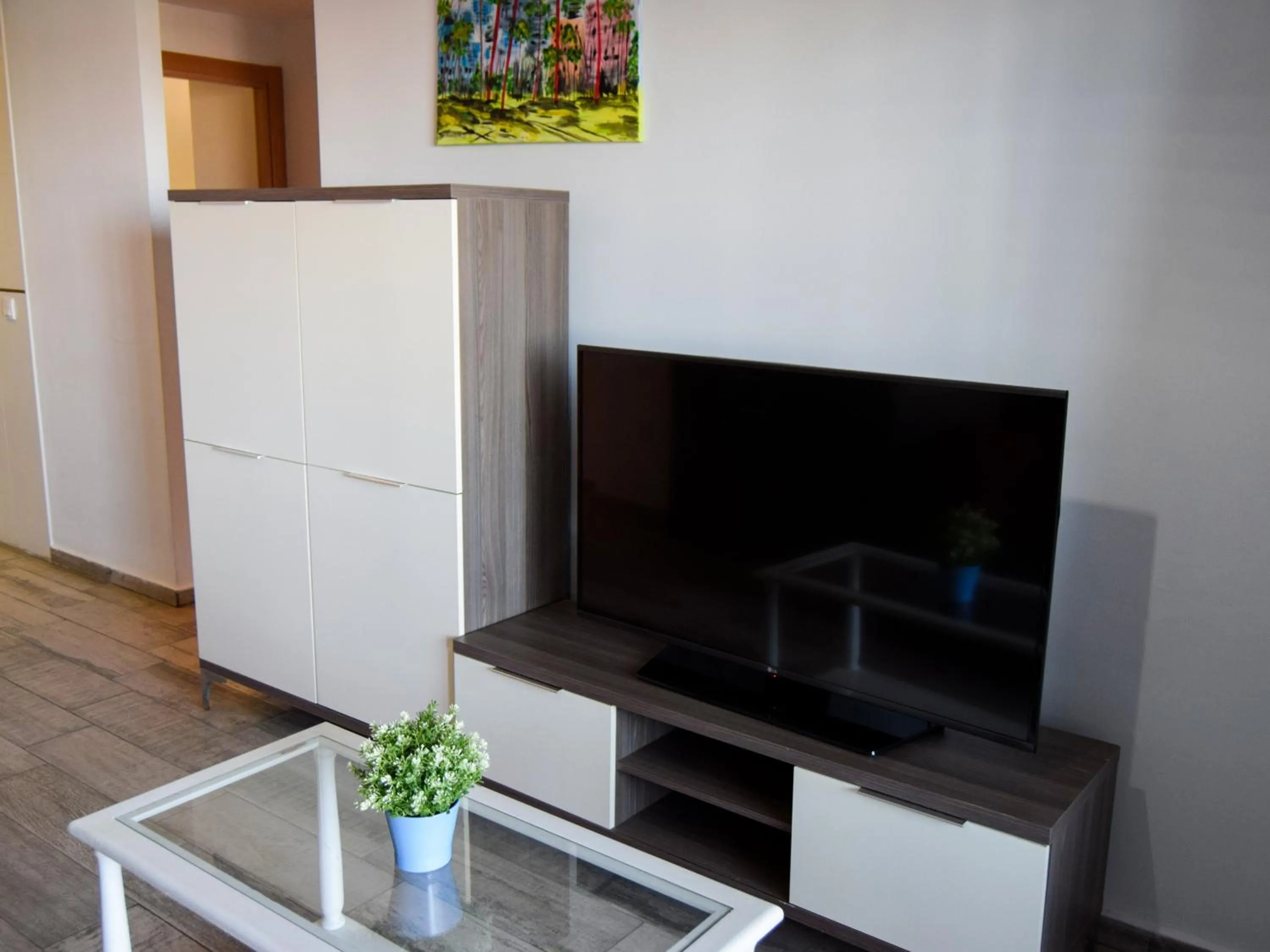 TV and multimedia in Apartamentos Mirador del Castillo 3000