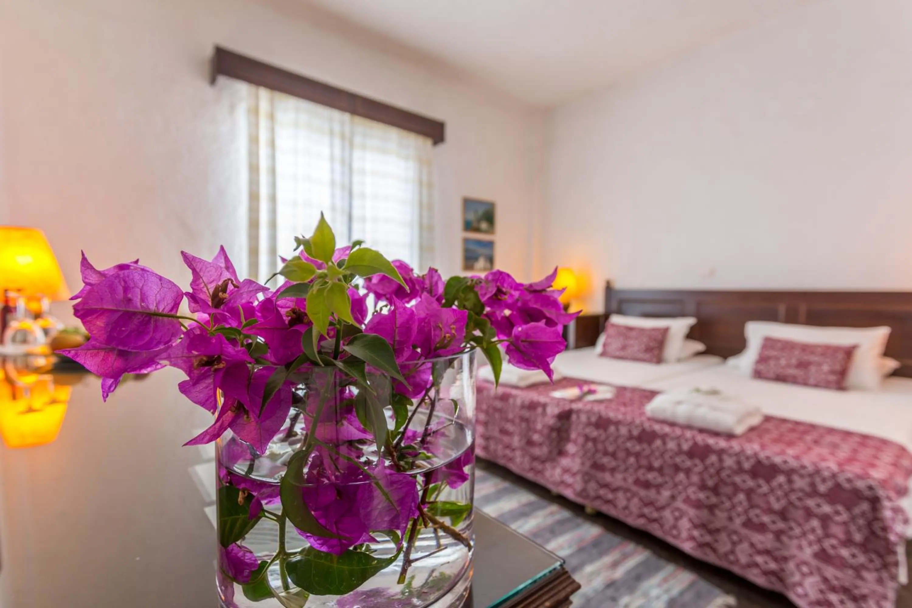 Photo of the whole room in Agionissi Resort