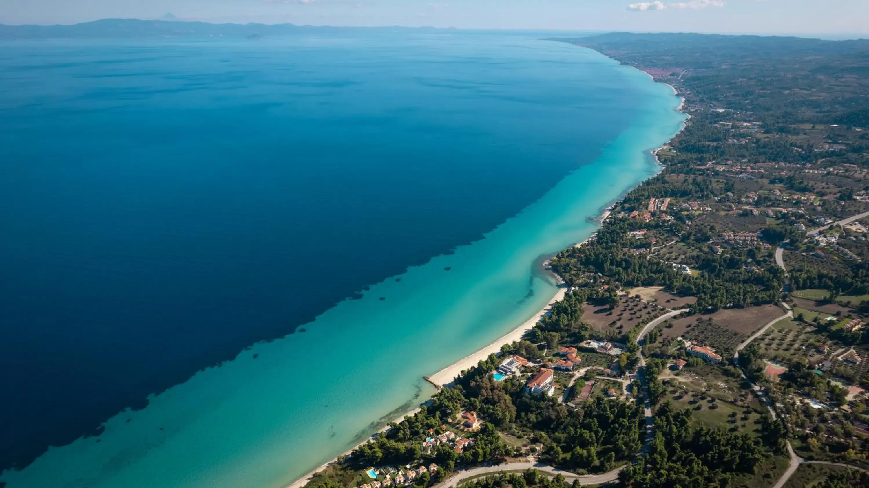 Canvas by Mitsis Alexander the Great Canvas by Mitsis Alexander the Great