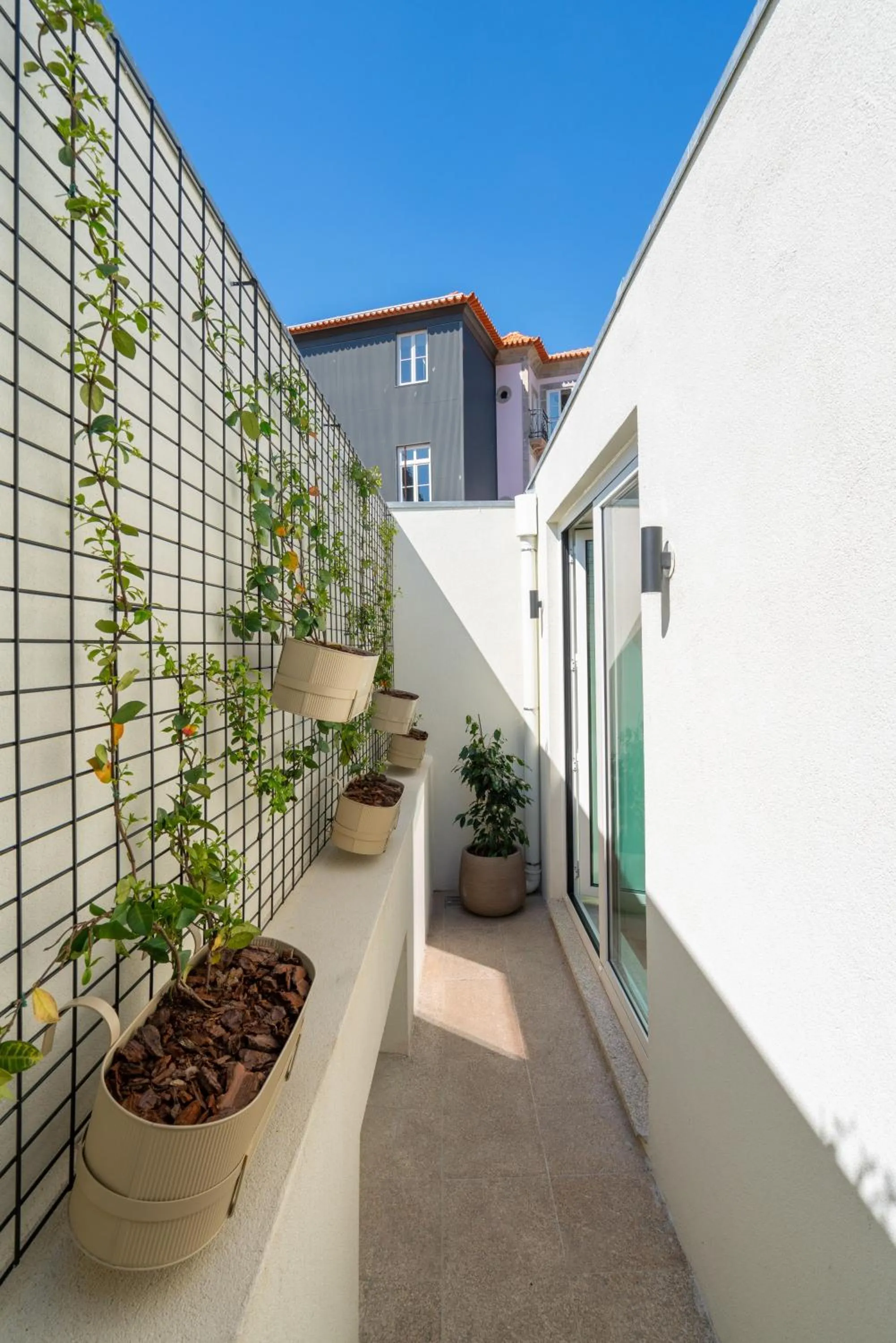 Balcony/Terrace in d'ALMA Boutique Hotel