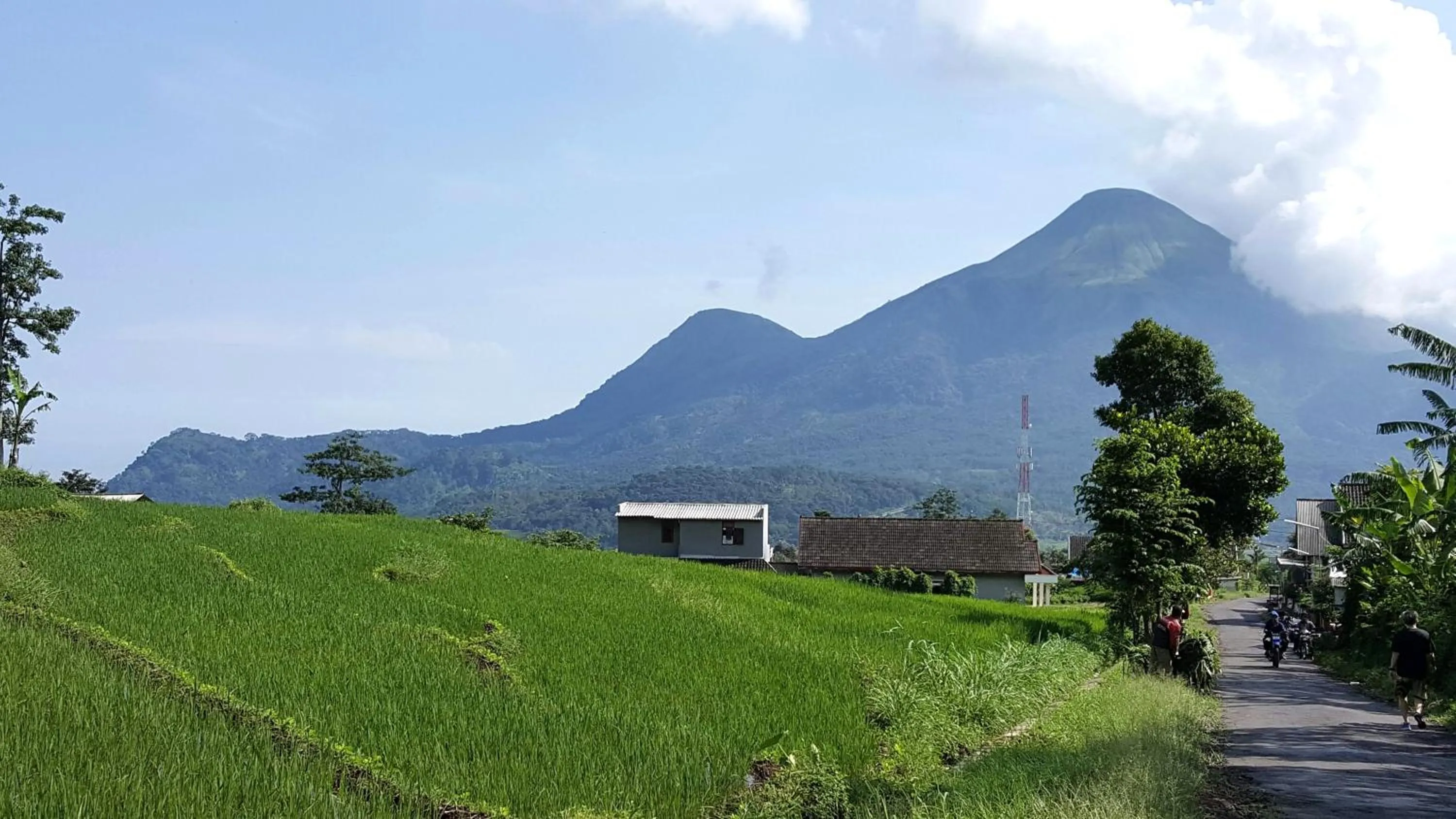 Natural landscape in Avila Ketapan Rame Hotel