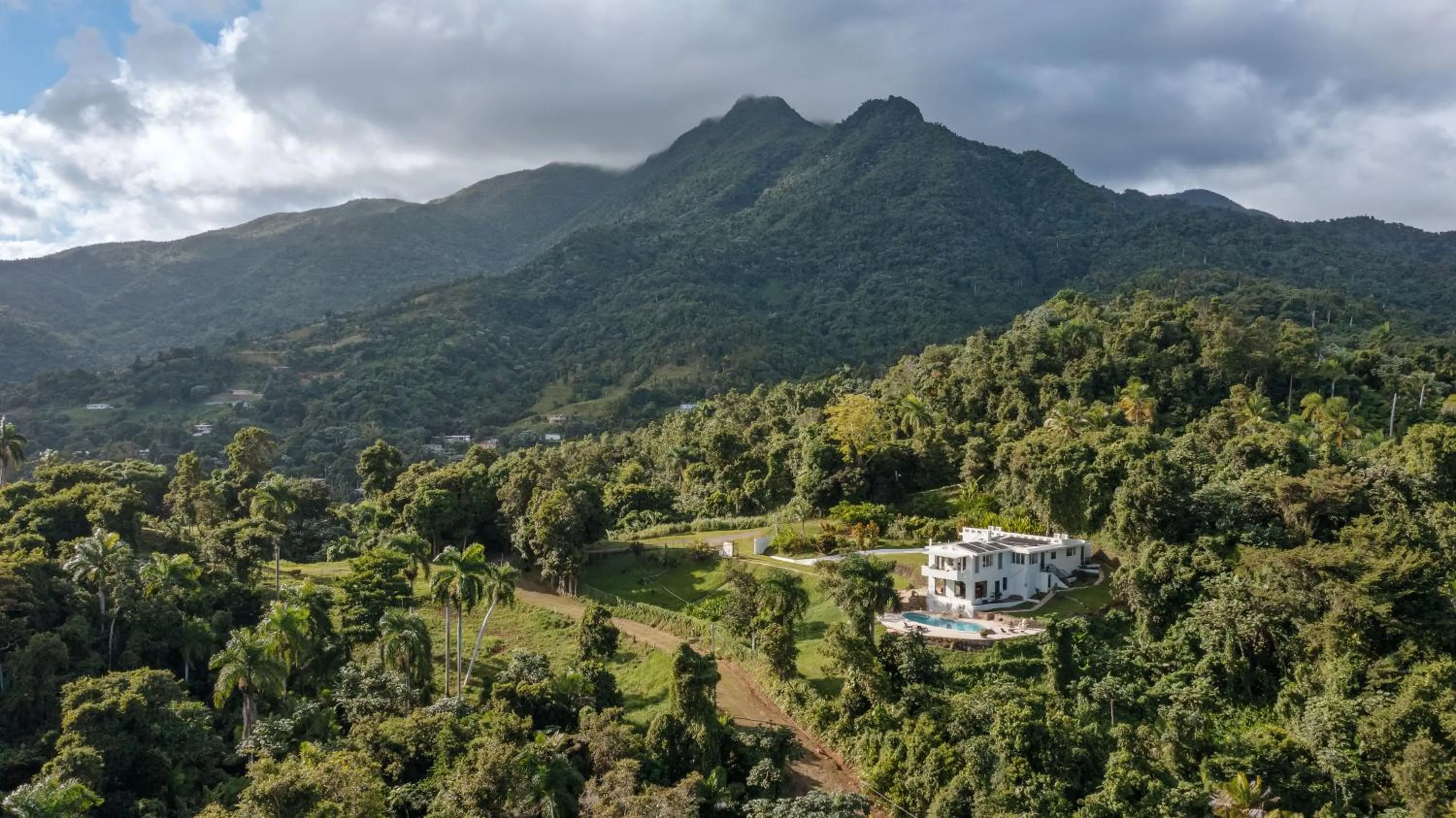 Mountain view in WALD HAUS by DW