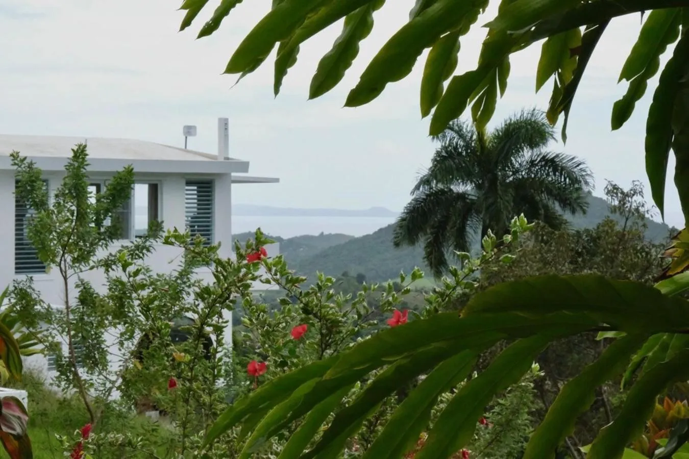 Day in WALD HAUS by DW