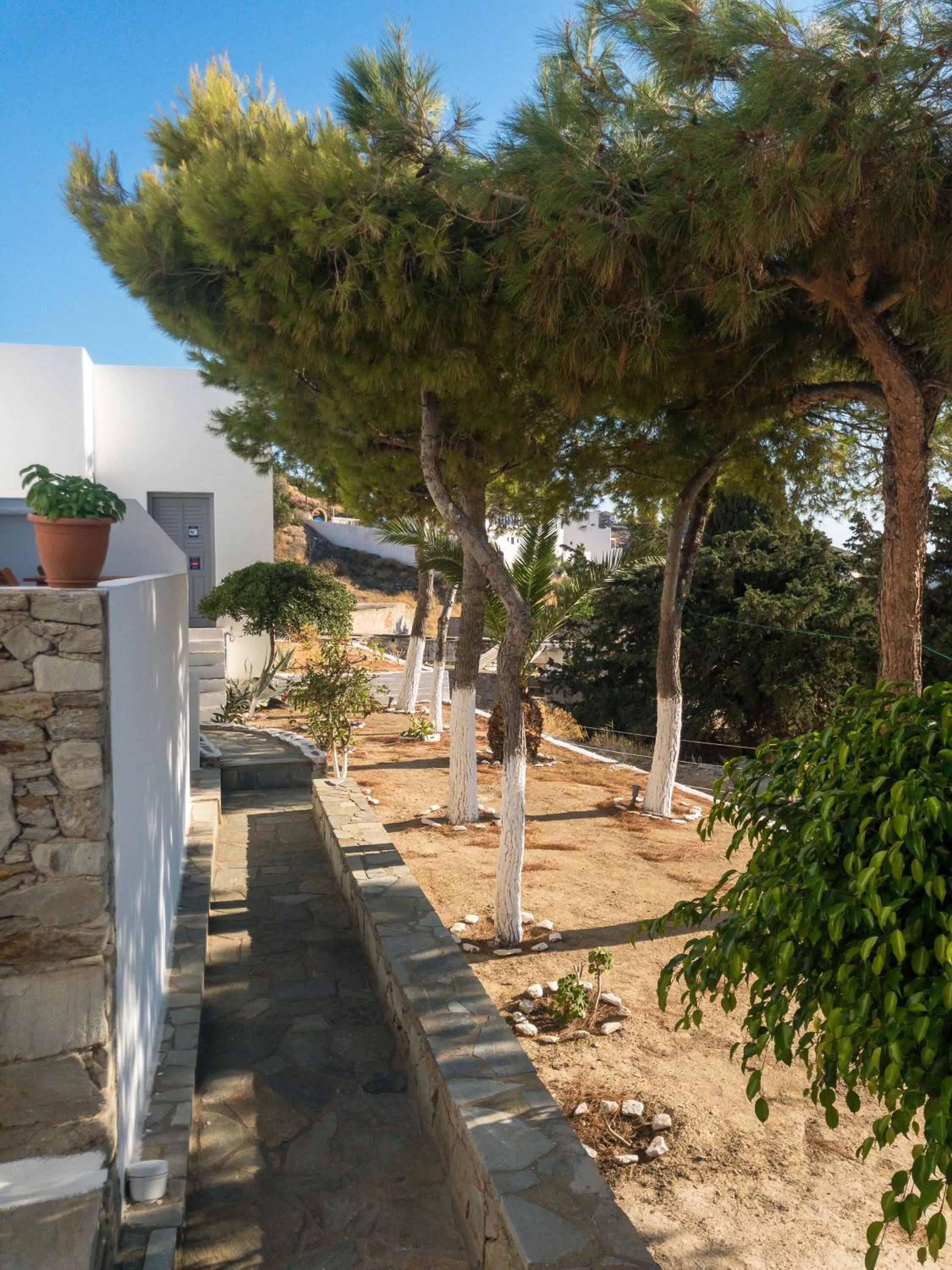 Patio in Golden Sun
