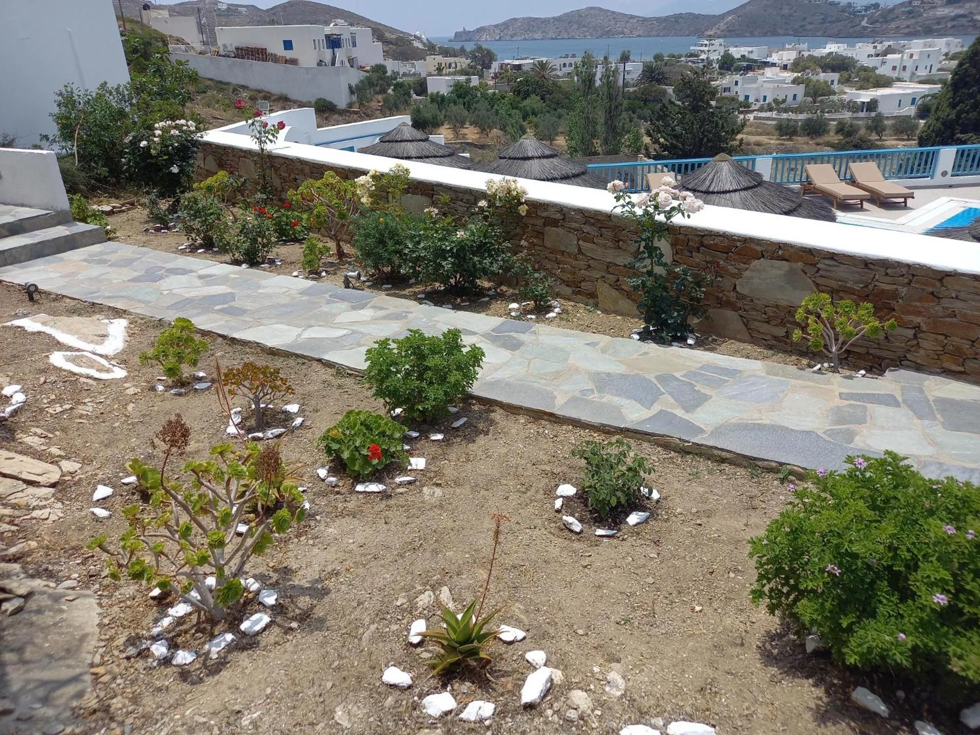 Garden in Golden Sun