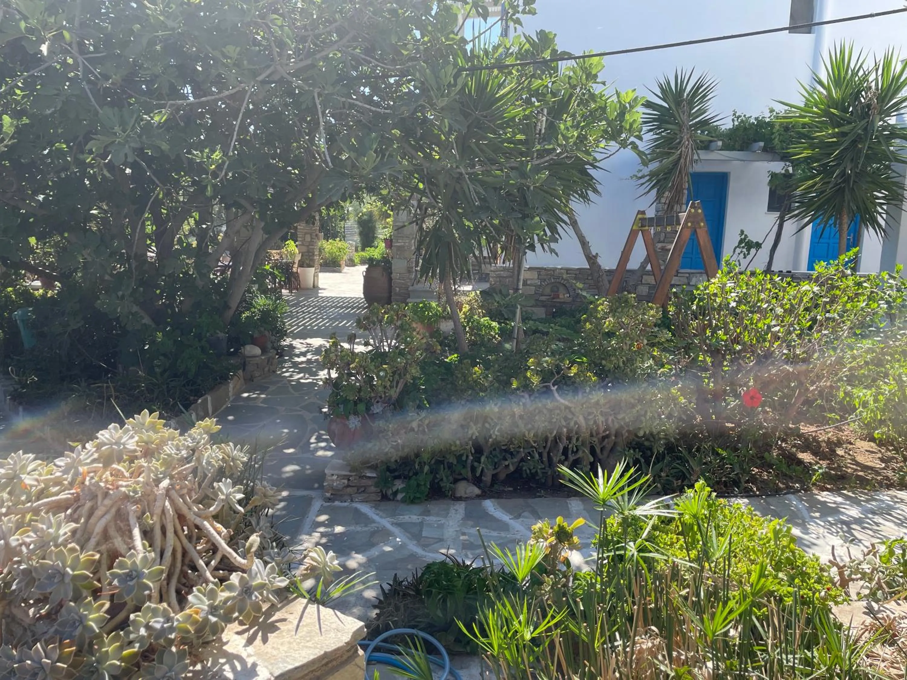 Garden in Ioanna Apartments