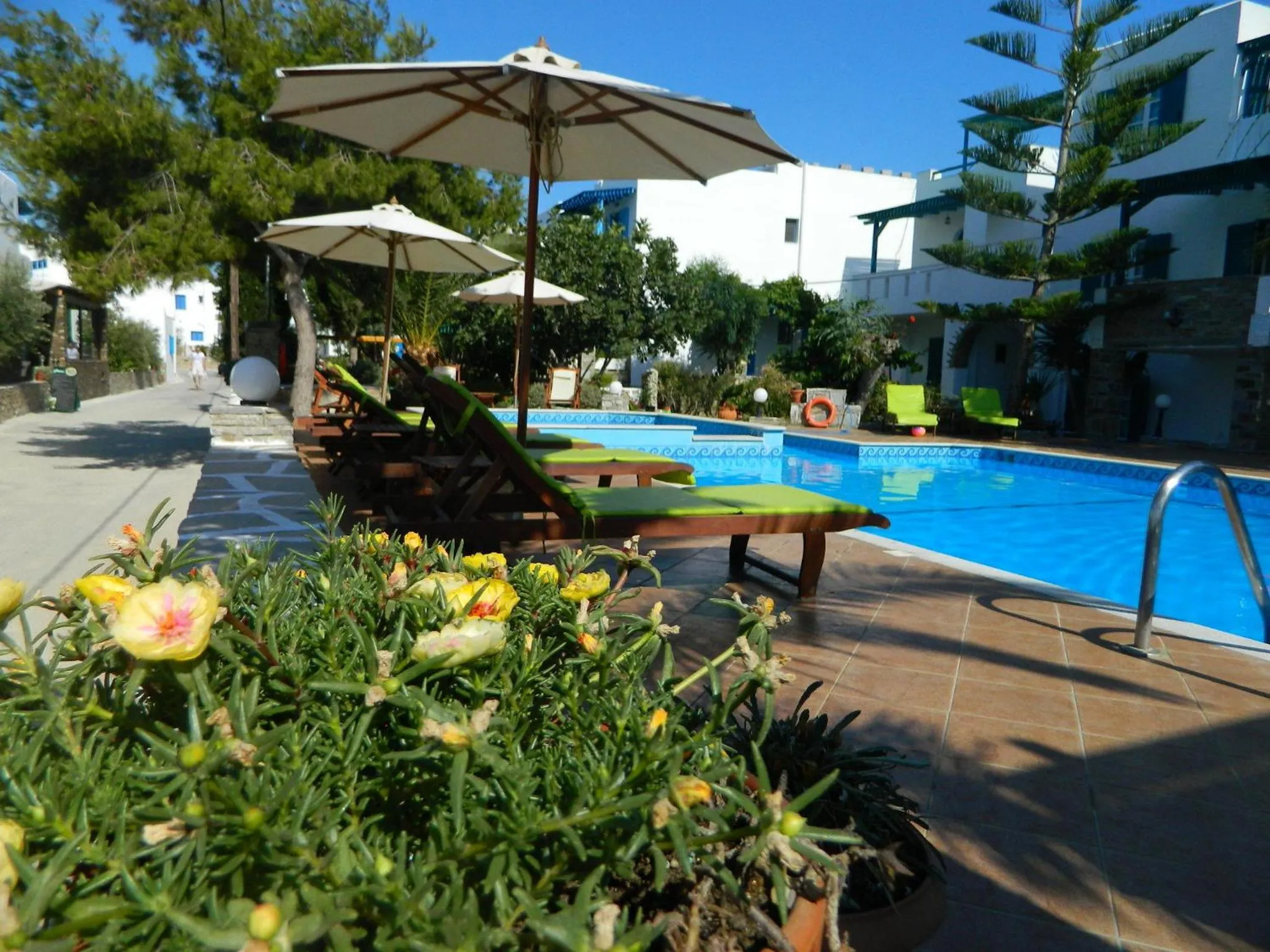Swimming pool in Ioanna Apartments