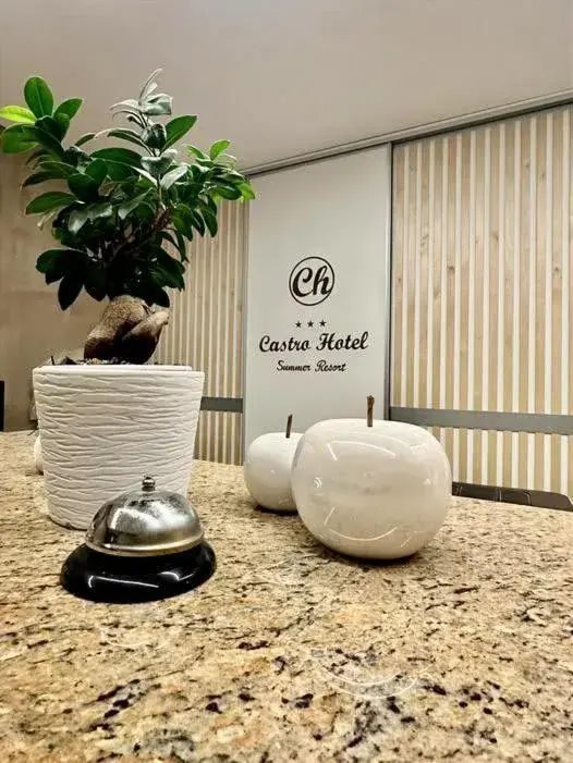 Lobby or reception in Castro Hotel Lobby or reception in Castro Hotel