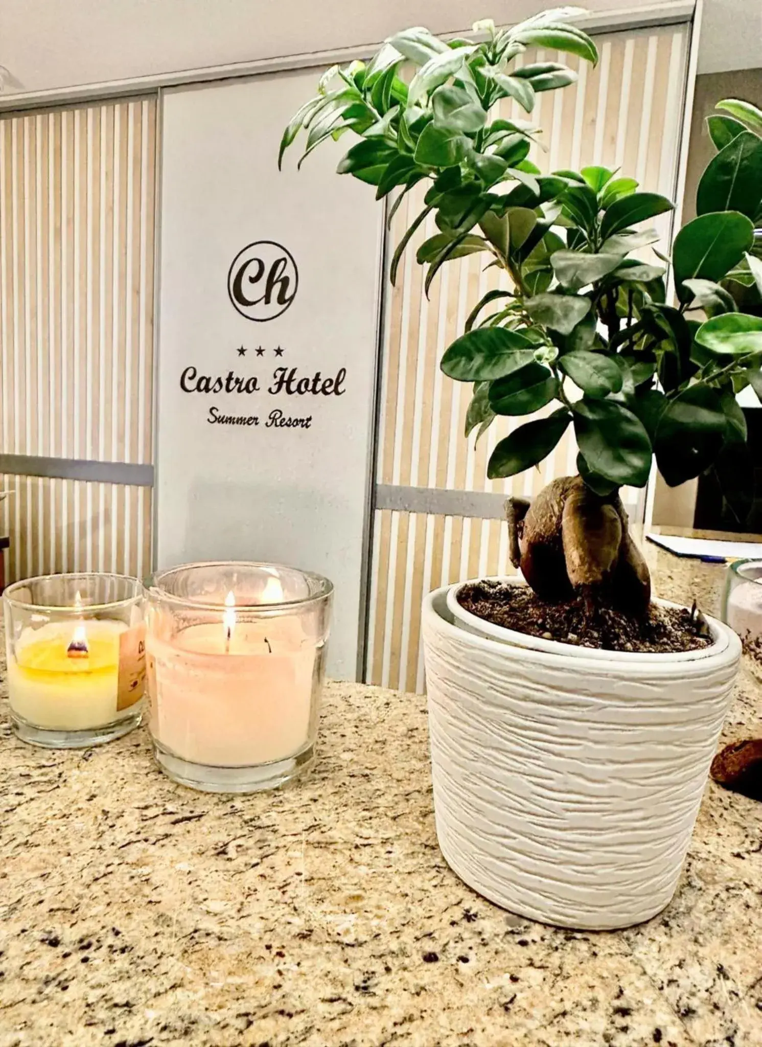 Lobby or reception in Castro Hotel Lobby or reception in Castro Hotel