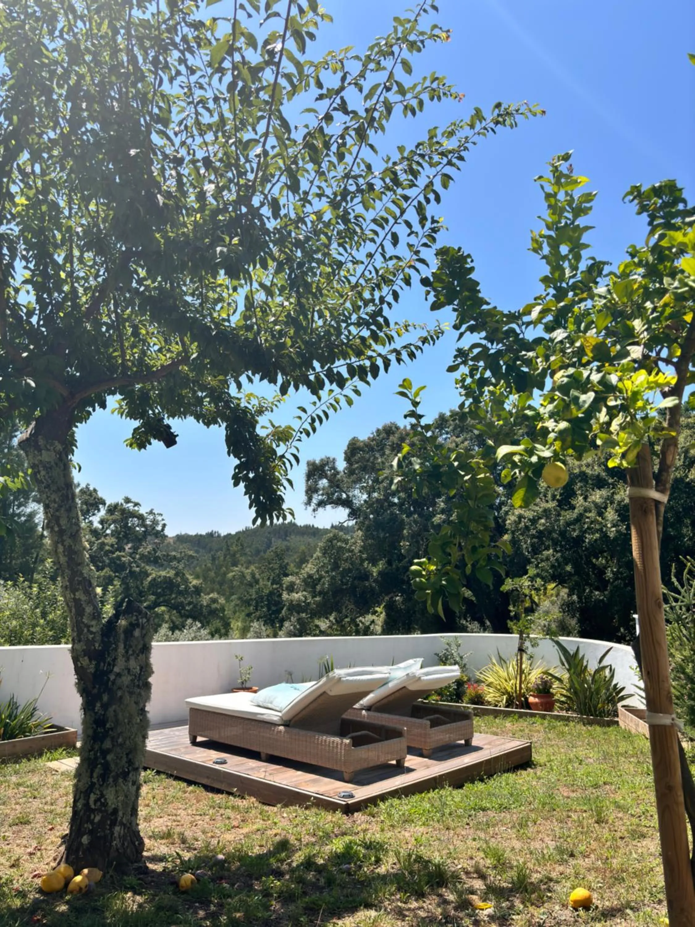 Natural landscape in Casa Da Oliveira