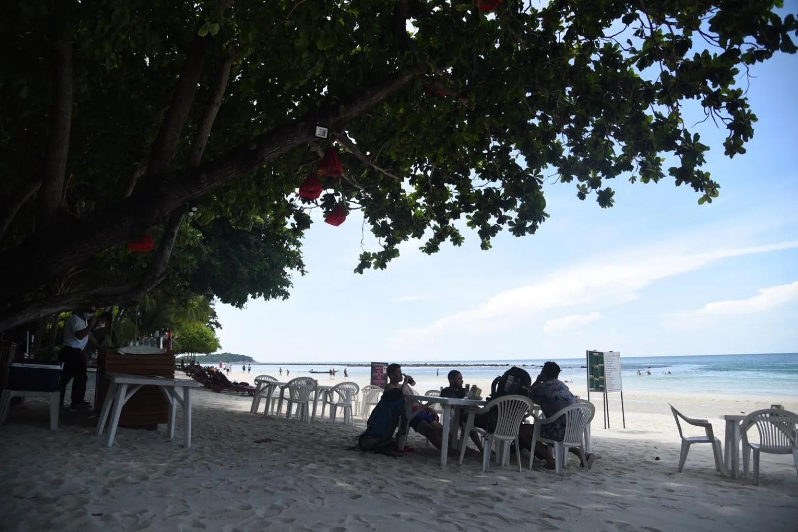 Coconut House Resort