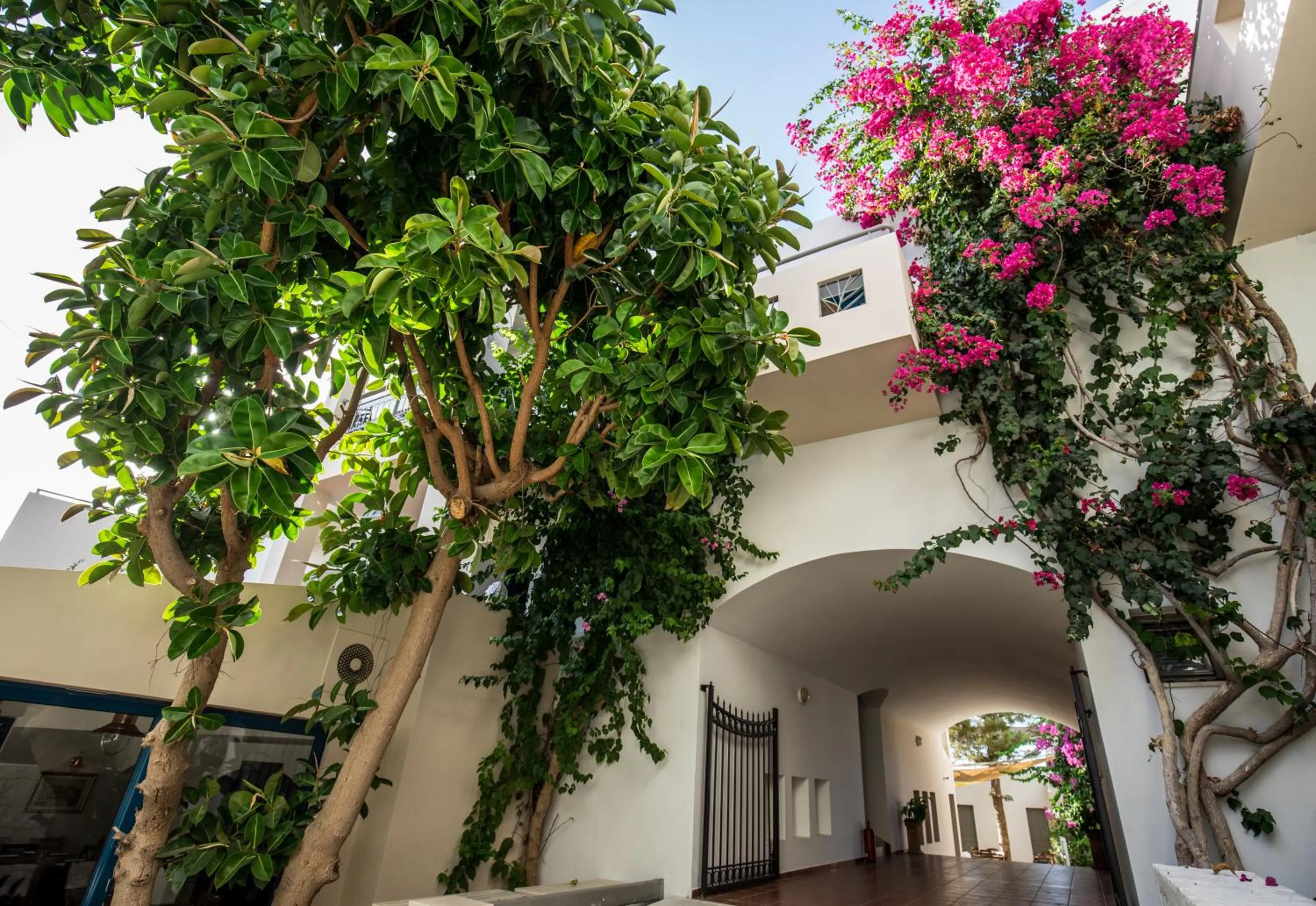 Property building in Castello Village Resort