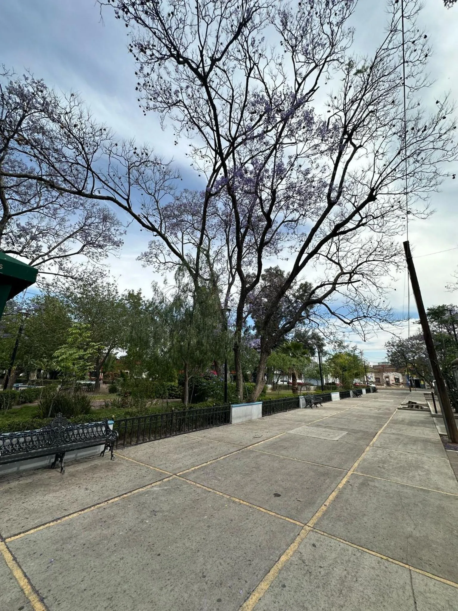 Spring in Hotel Posada Jardín Aguascalientes