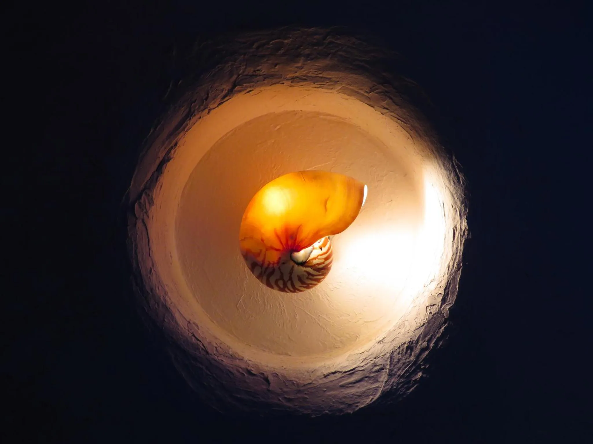 Aqua park in THE skM TOKYO HOTEL & DINING