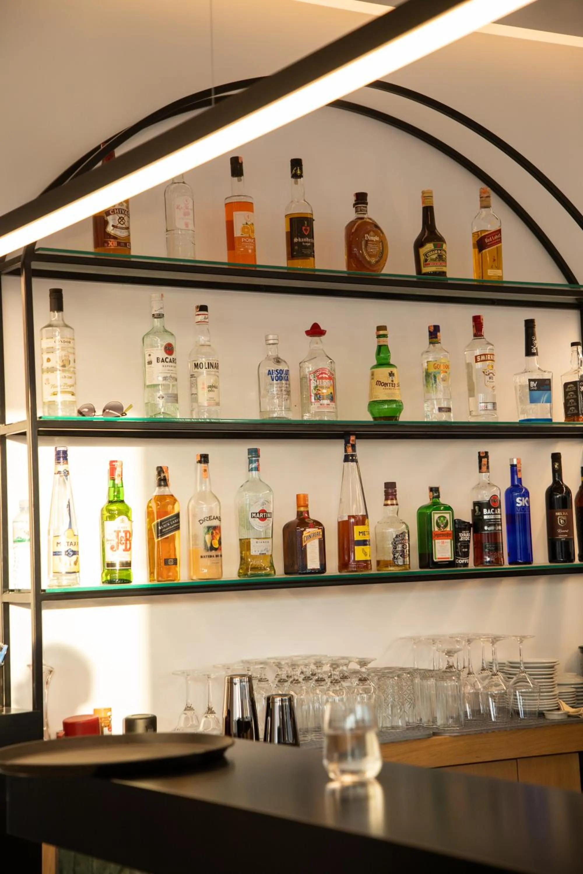 Lounge or bar in Colosseum Hotel