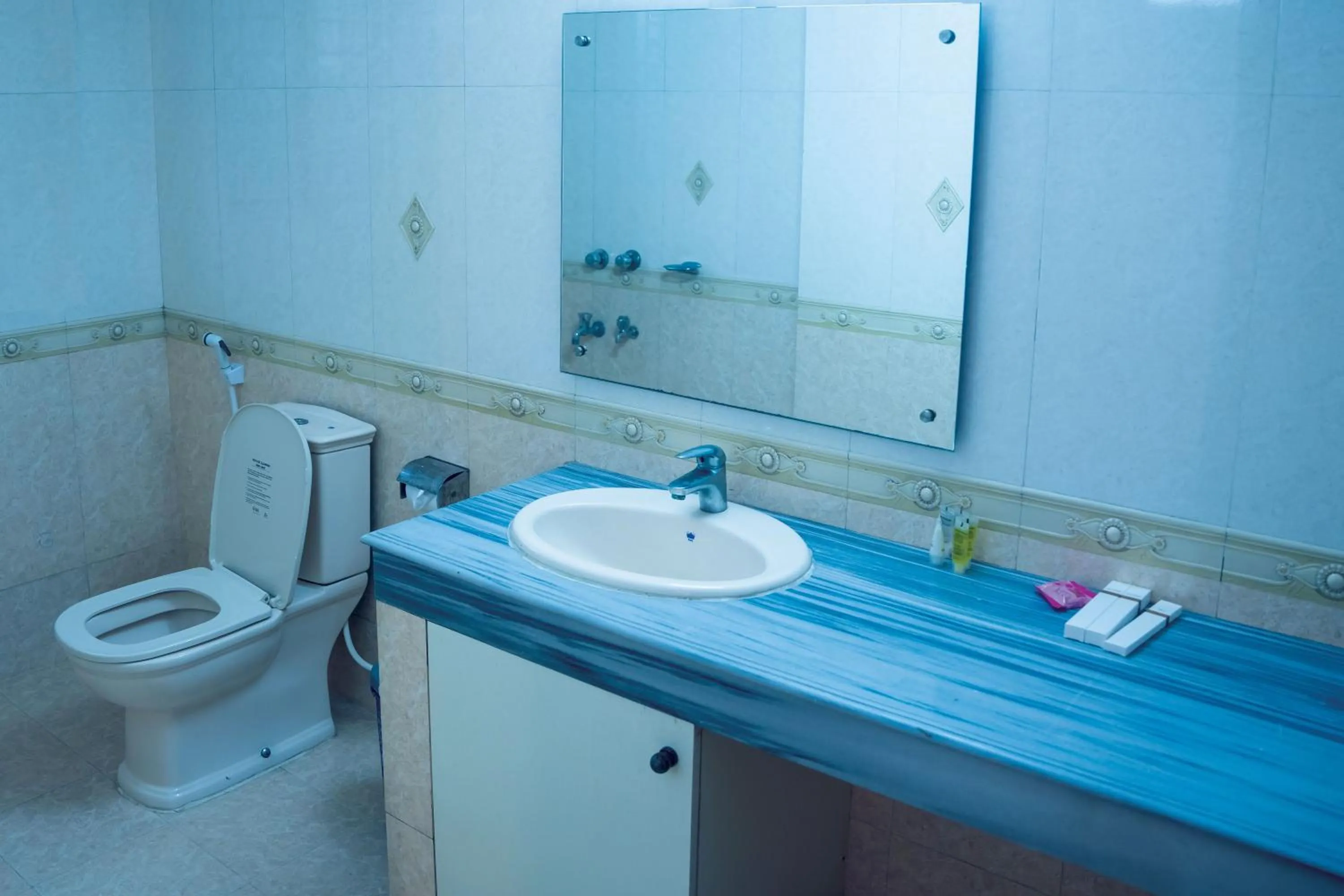 Toilet in The Al Aqsa