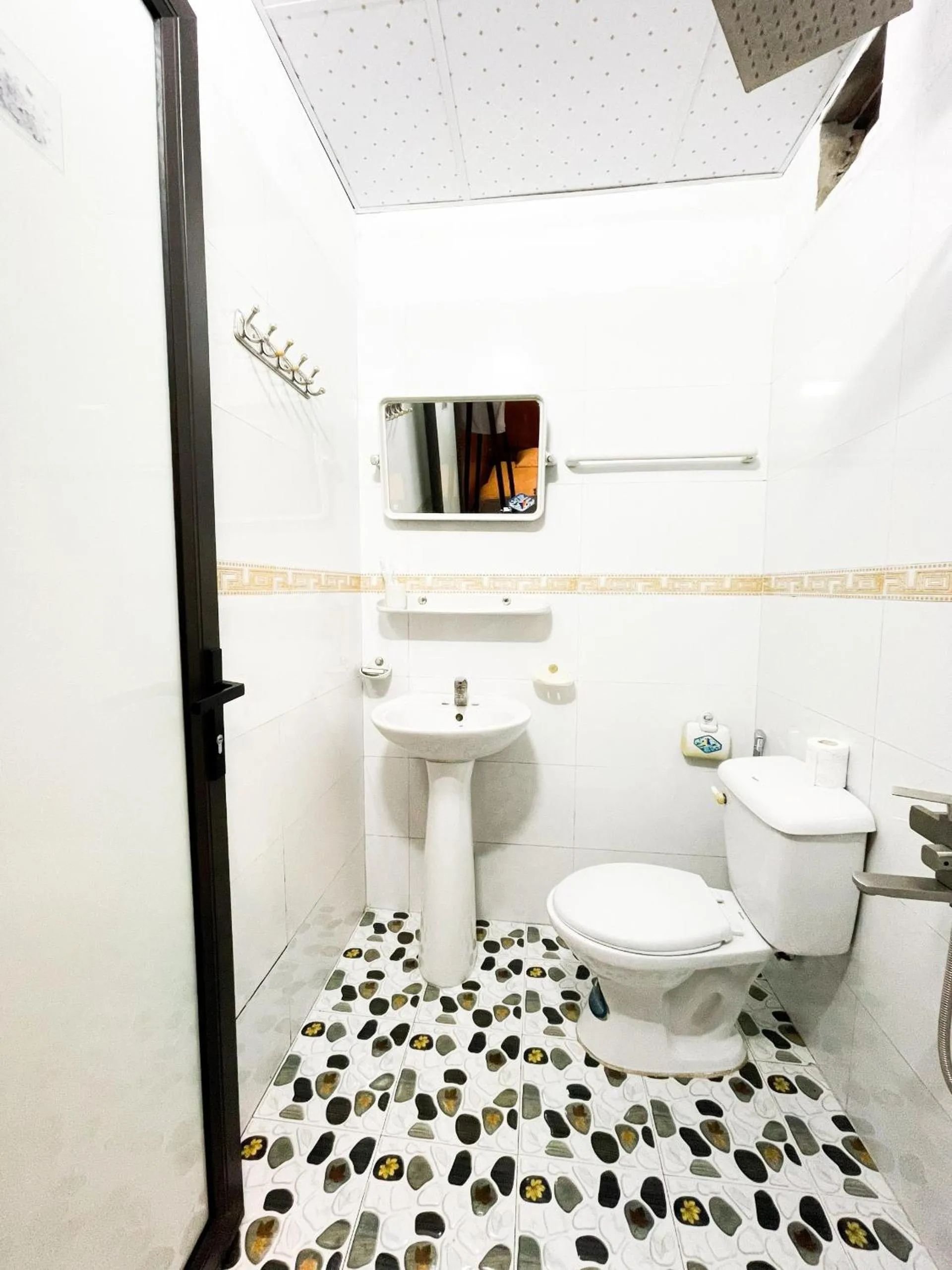 Toilet in Vani's Home