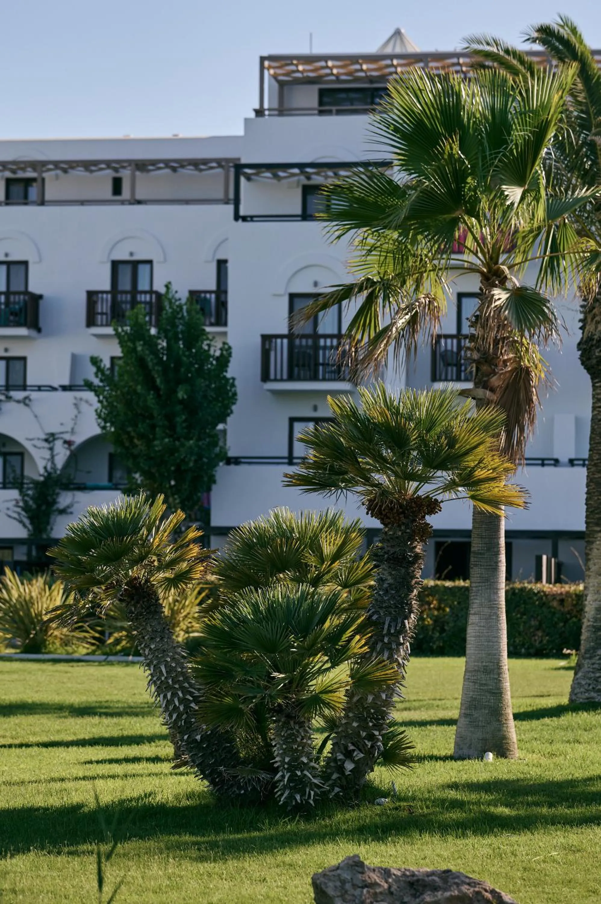 Garden in Oceanis Beach & Spa Resort