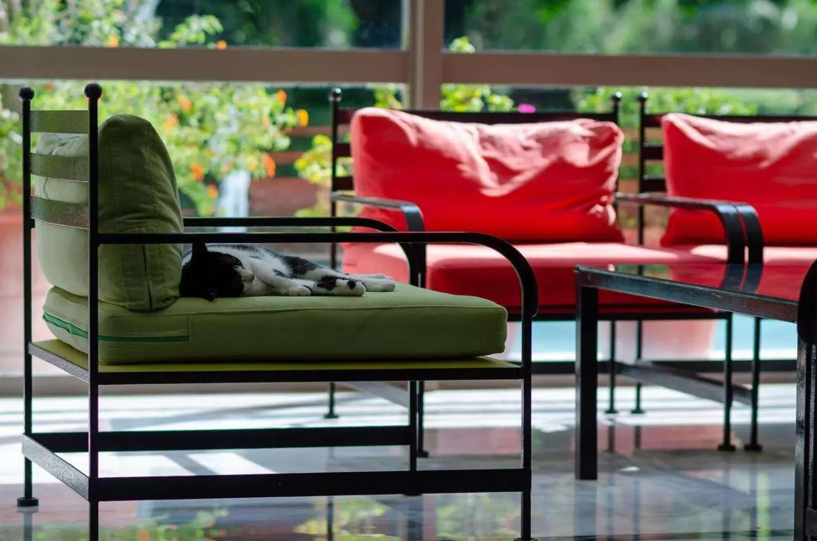 Lobby or reception in Dionysos Hotel Lobby or reception in Dionysos Hotel