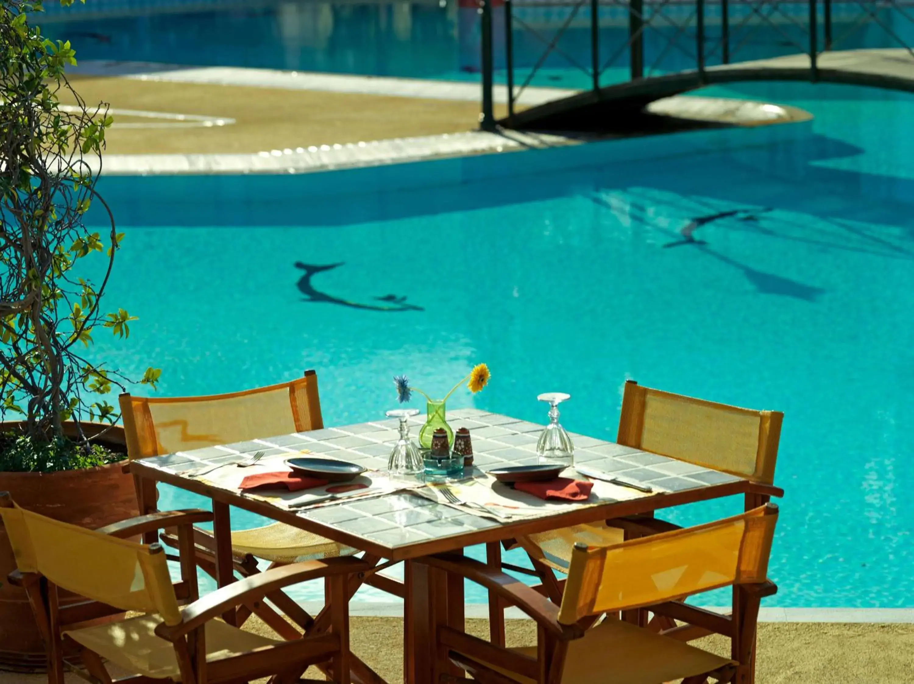 Restaurant/places to eat in Dionysos Hotel Restaurant/places to eat in Dionysos Hotel