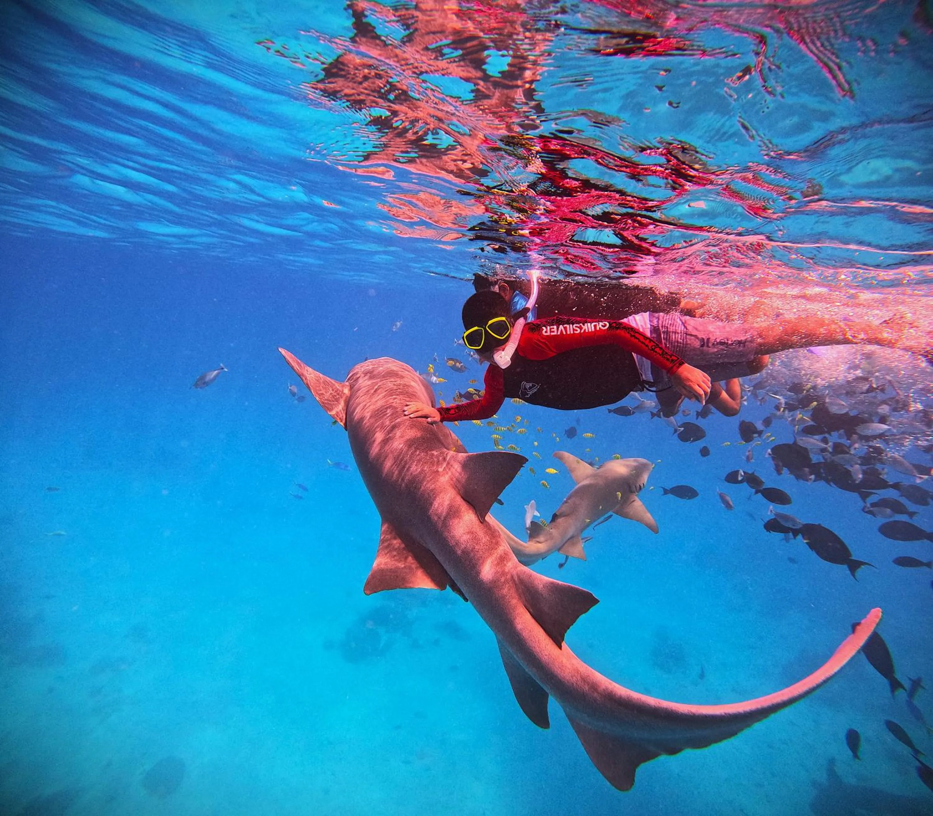 Snorkeling in Oceana Inn Maldives - Snorkeling, Sandbank & Surfing Adventures in Kudahuvadhoo Island