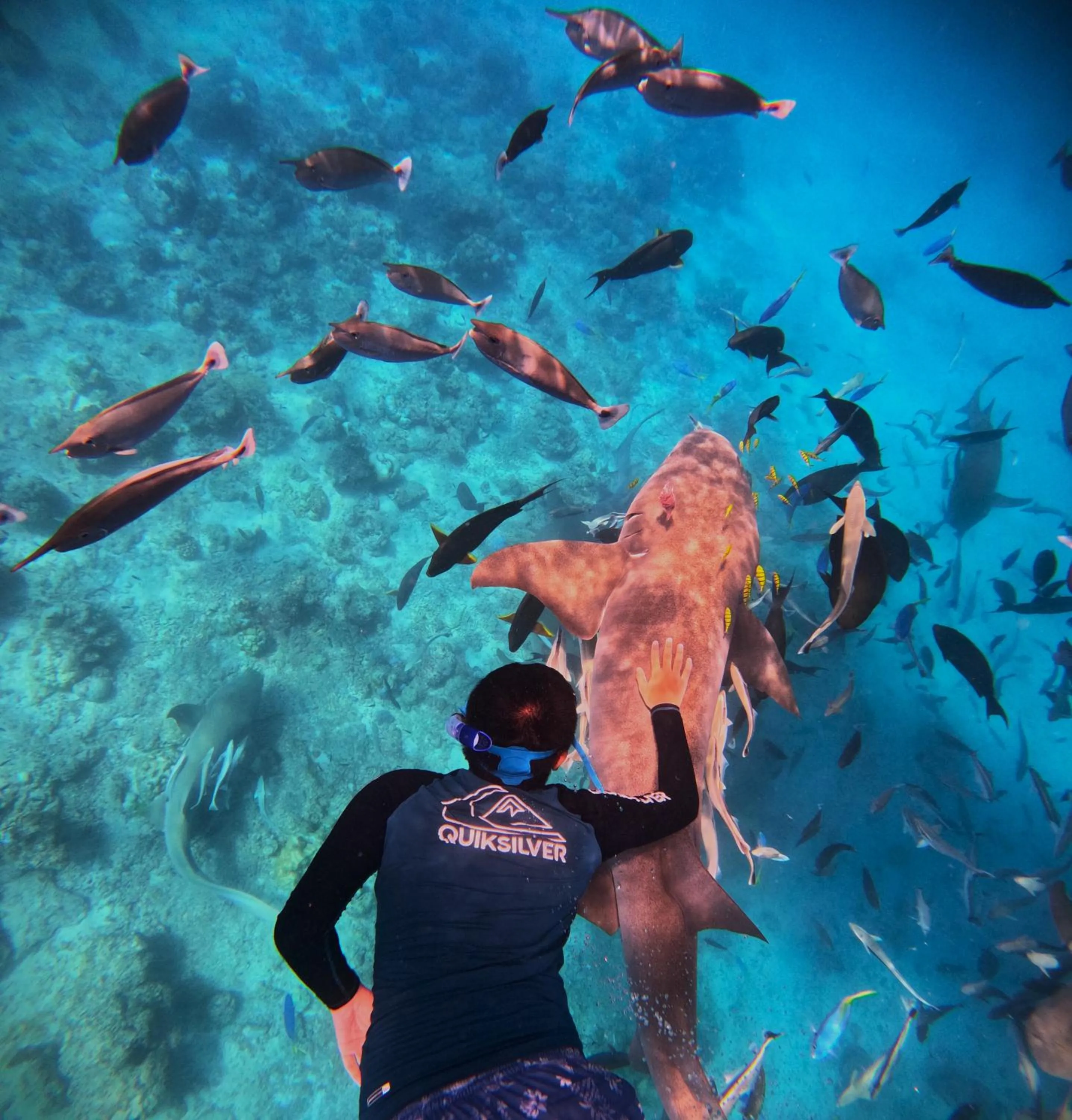 Snorkeling in Oceana Inn Maldives - Snorkeling, Sandbank & Surfing Adventures in Kudahuvadhoo Island