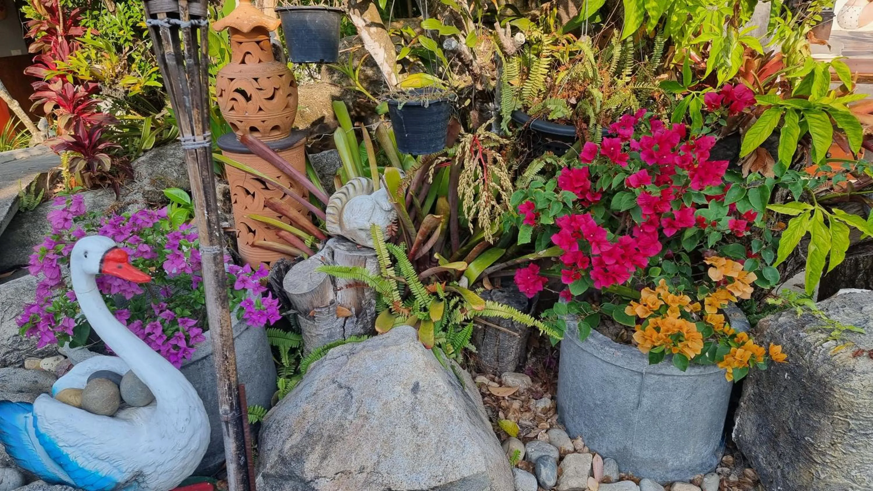 Garden in Butsaba Garden Resort