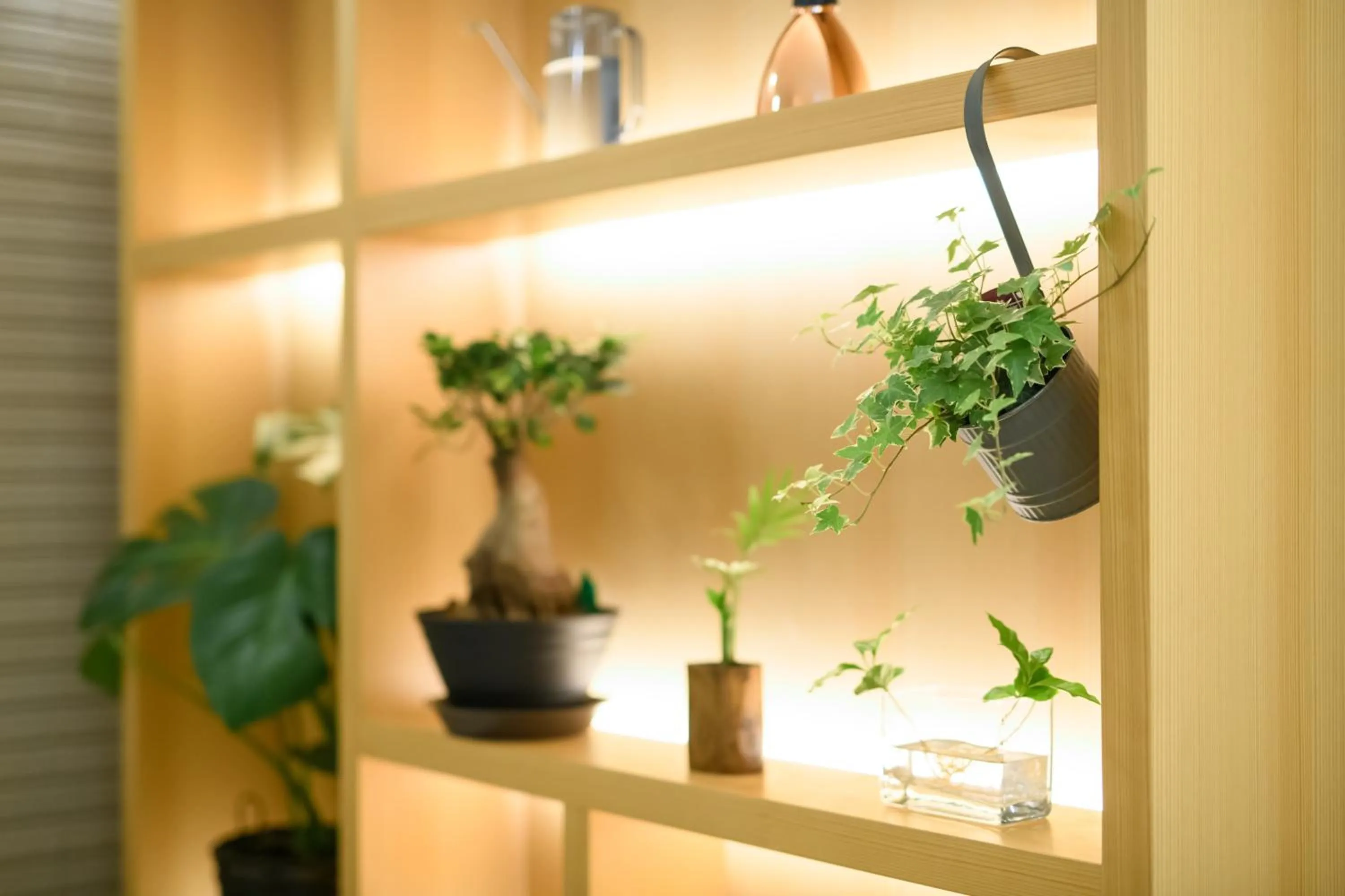 Oyado Shinmachi Gojo