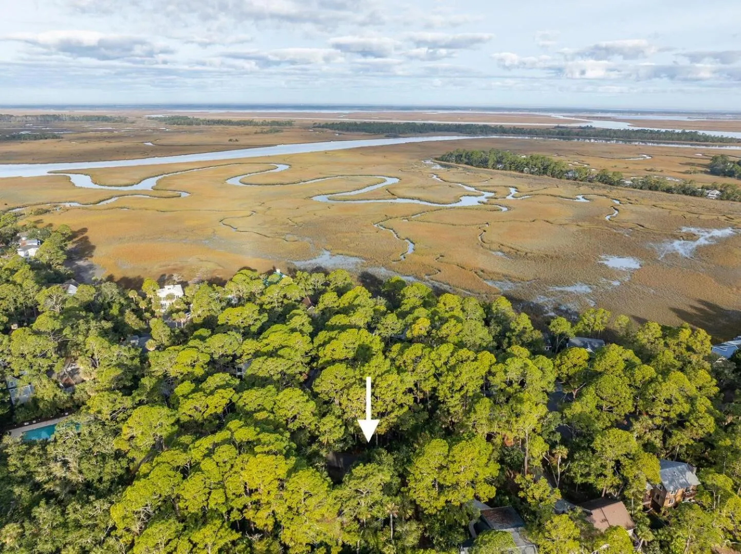 Property building in 844 Marsh Dunes