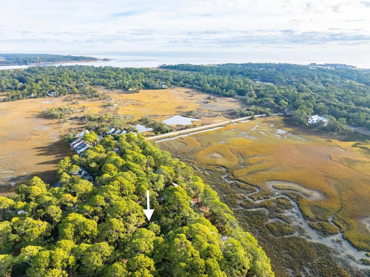 Property building in 844 Marsh Dunes