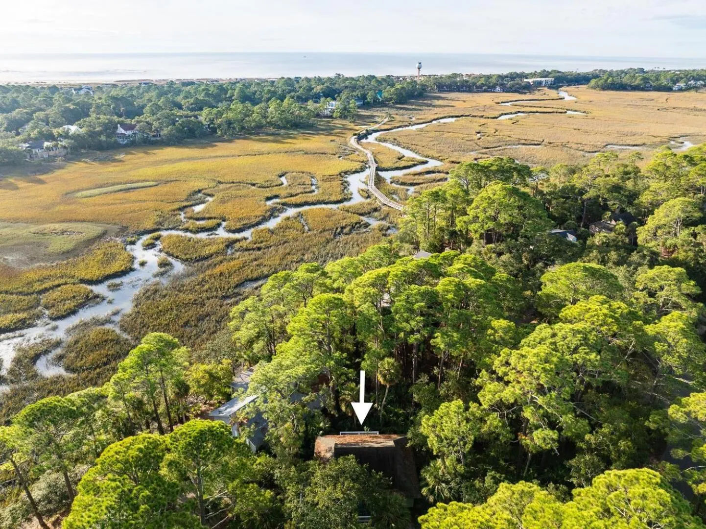 Property building in 844 Marsh Dunes