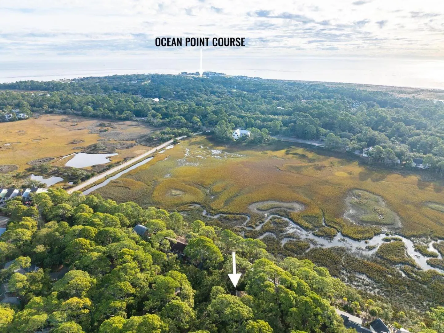 Property building in 844 Marsh Dunes