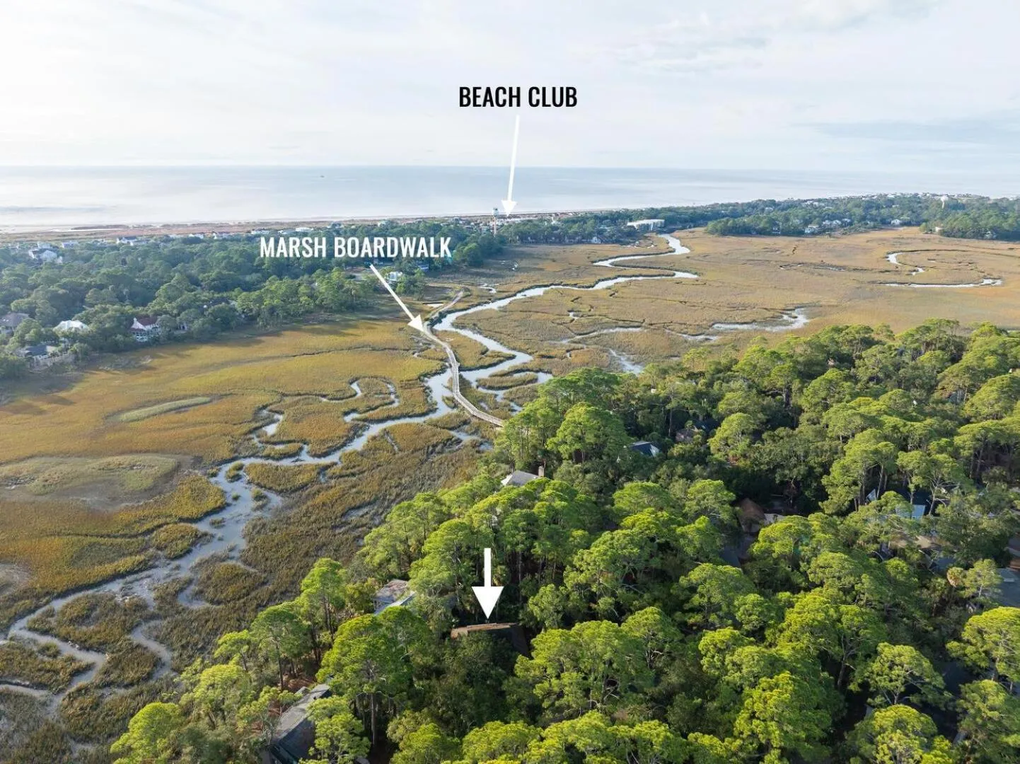 Property building in 844 Marsh Dunes