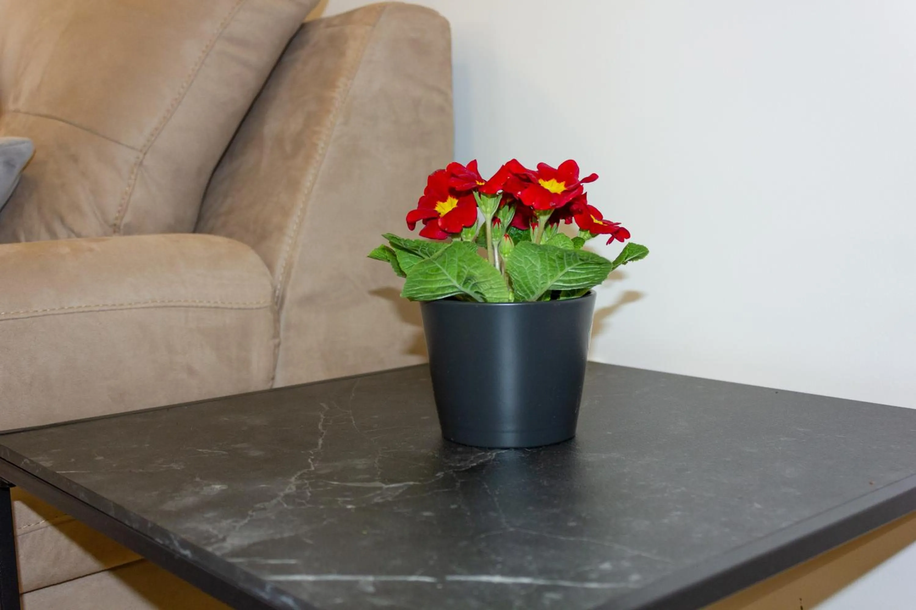 Luxury Apartment Petra