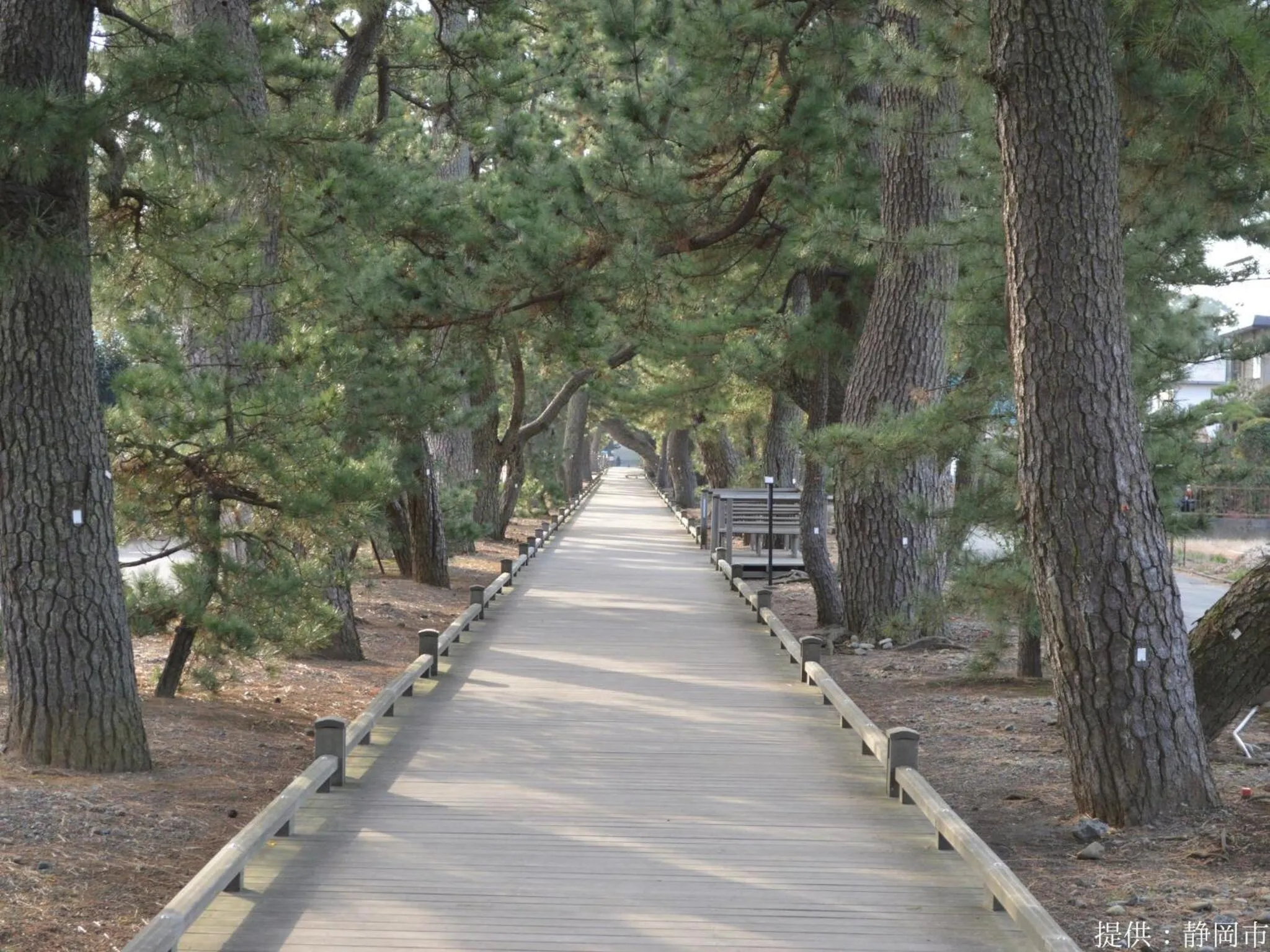 Nearby landmark in KOKO HOTEL Shizuoka - formerly Hotel Wing International Shizuoka