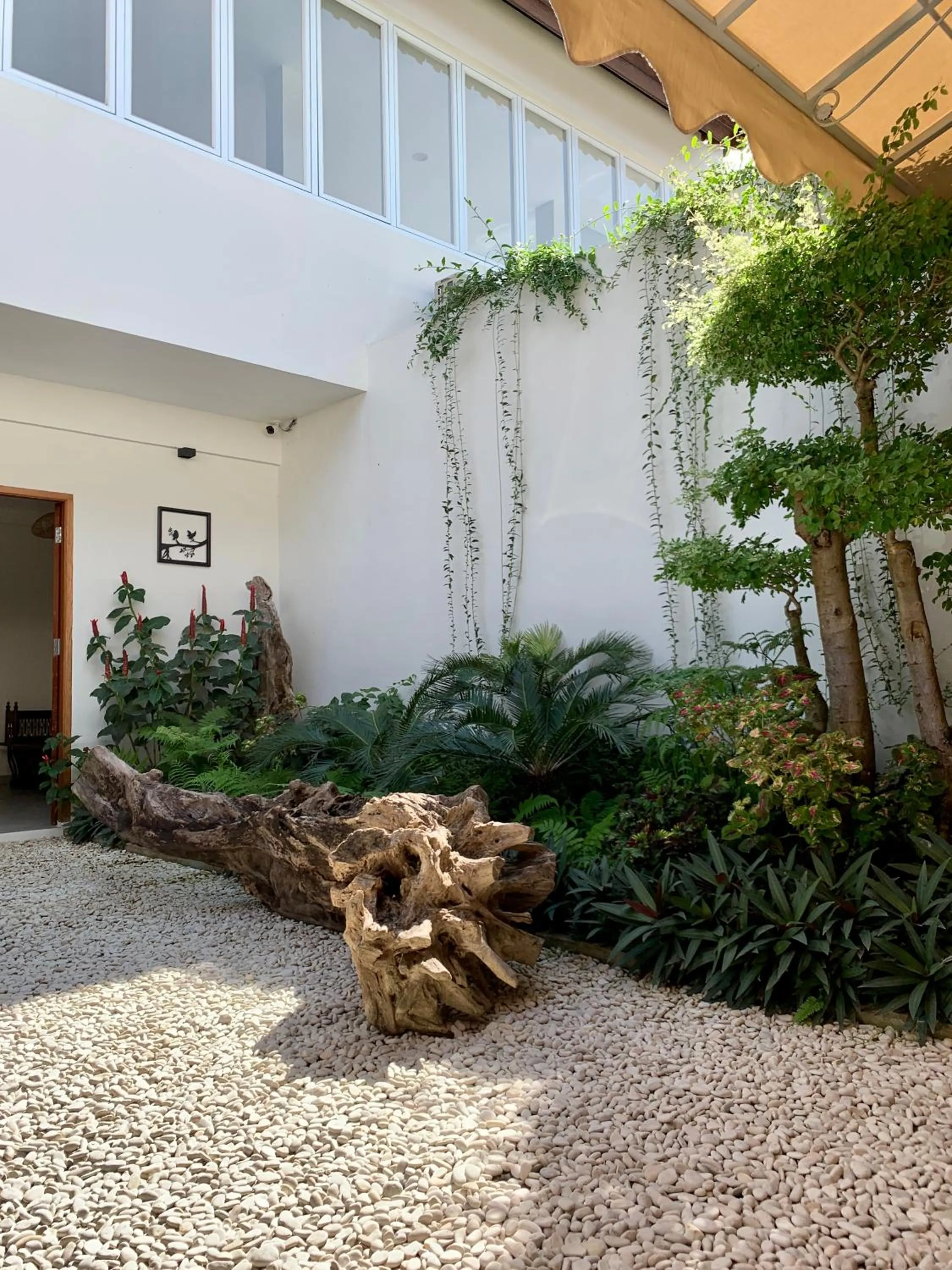 Garden in Roots Hotel Senggigi