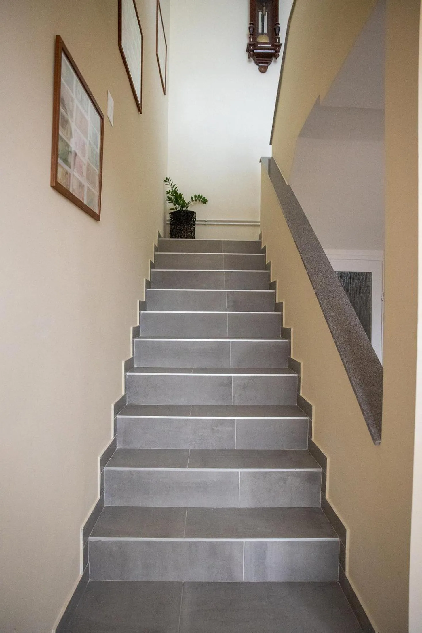 Apartmani i Sobe Kočiš