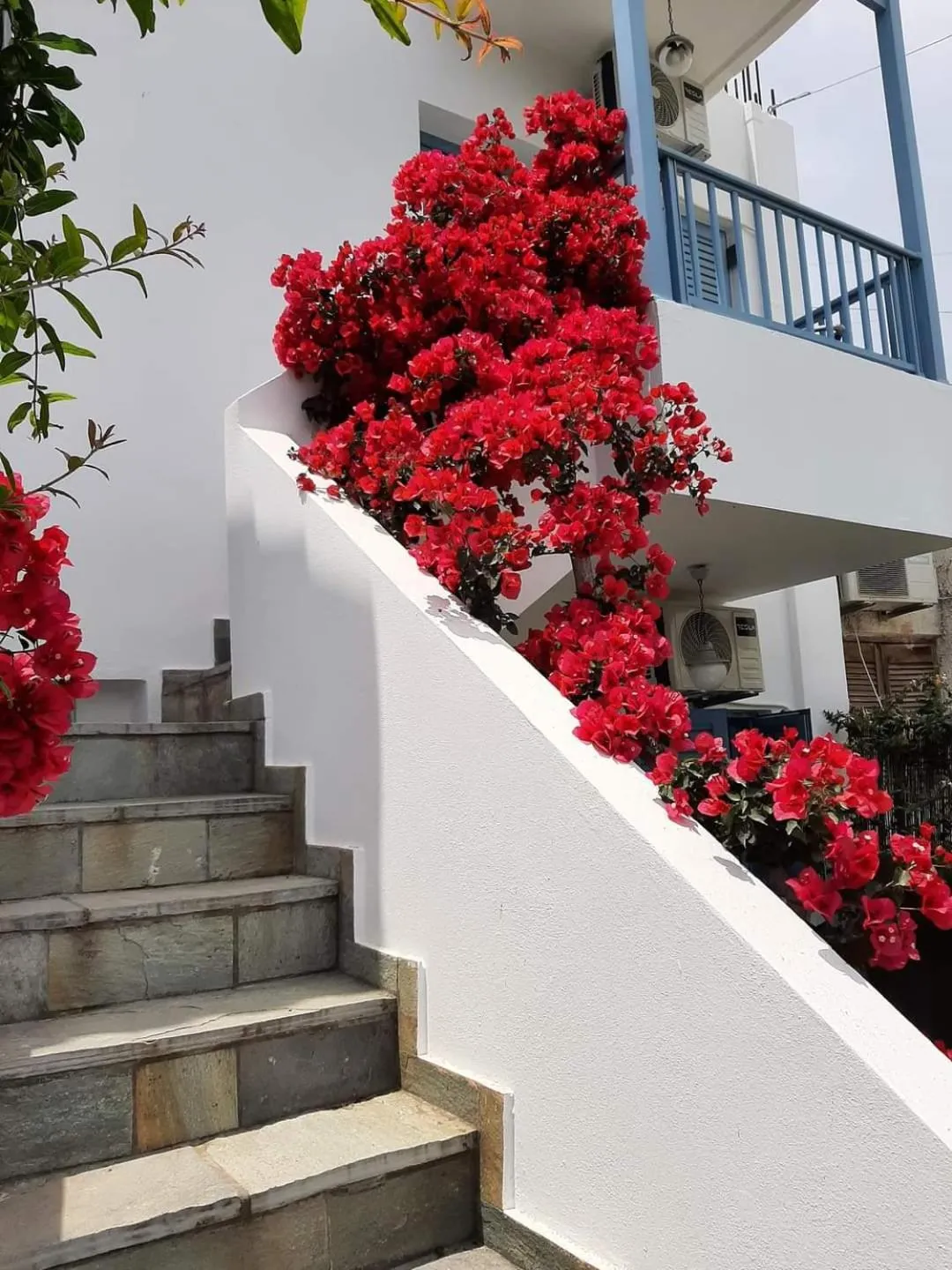 Property building in Villa Mertiza