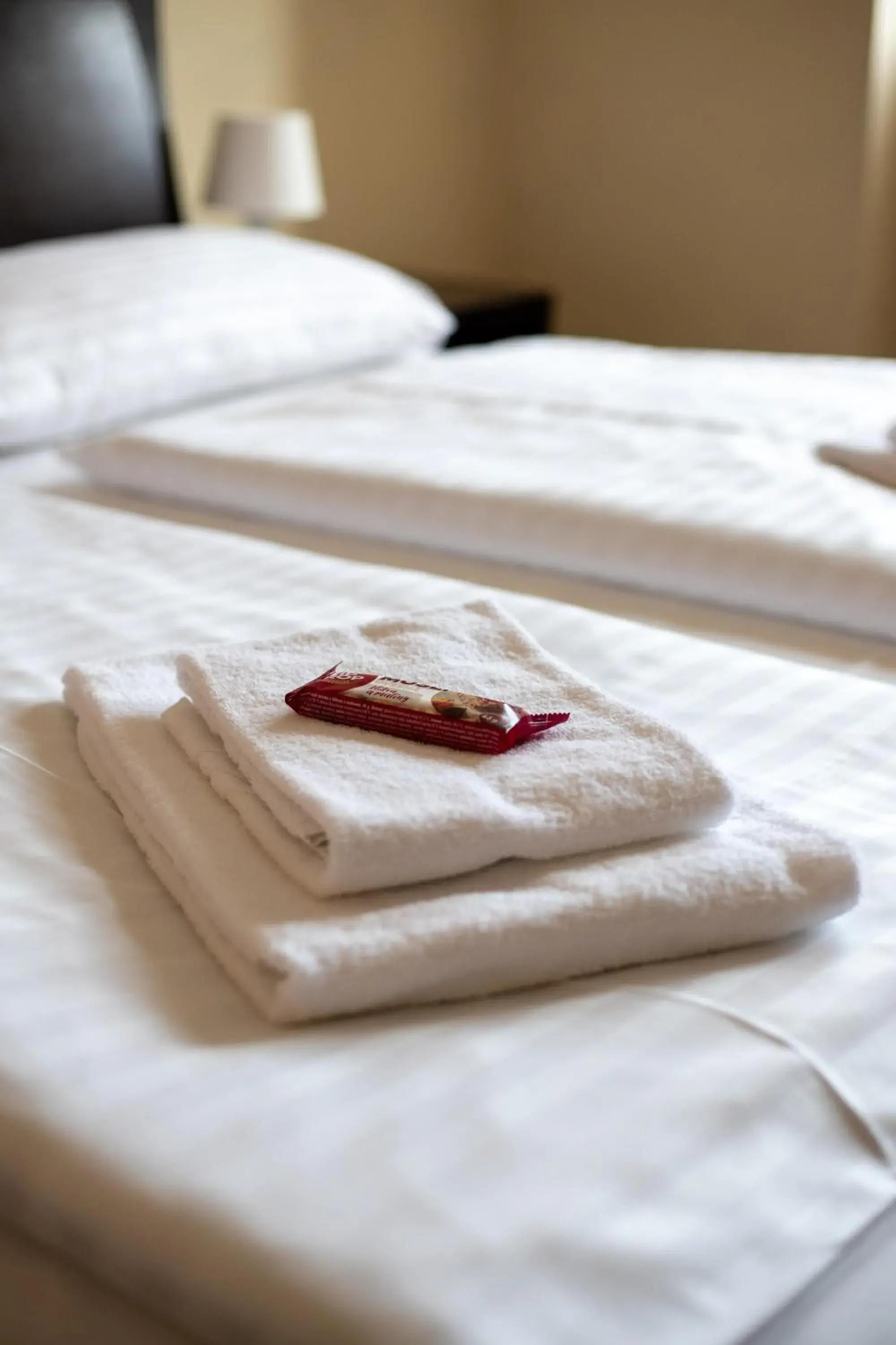 Large Twin Room in Hotel Prácheň Large Twin Room in Hotel Prácheň