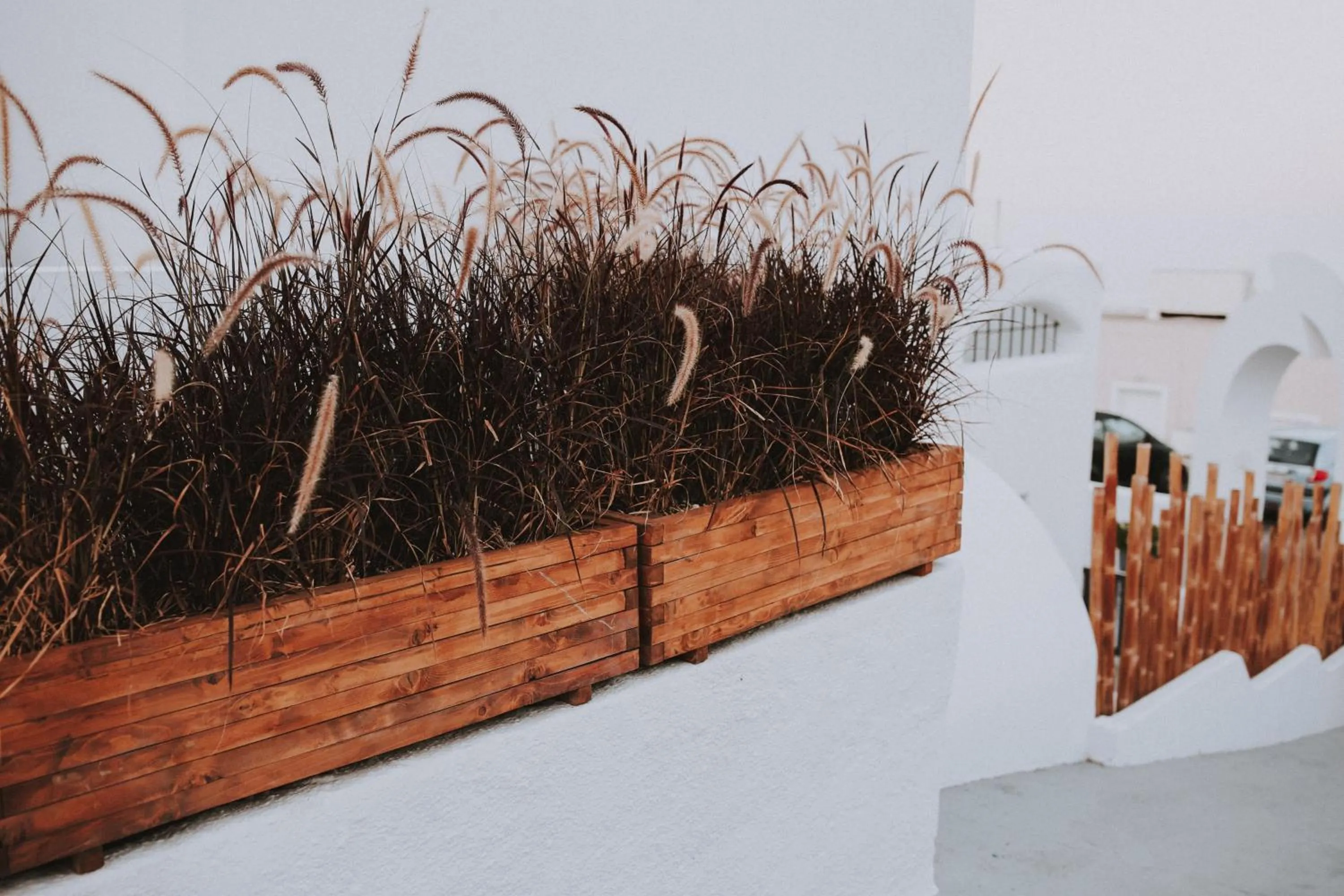 Property building in Margarita Hotel