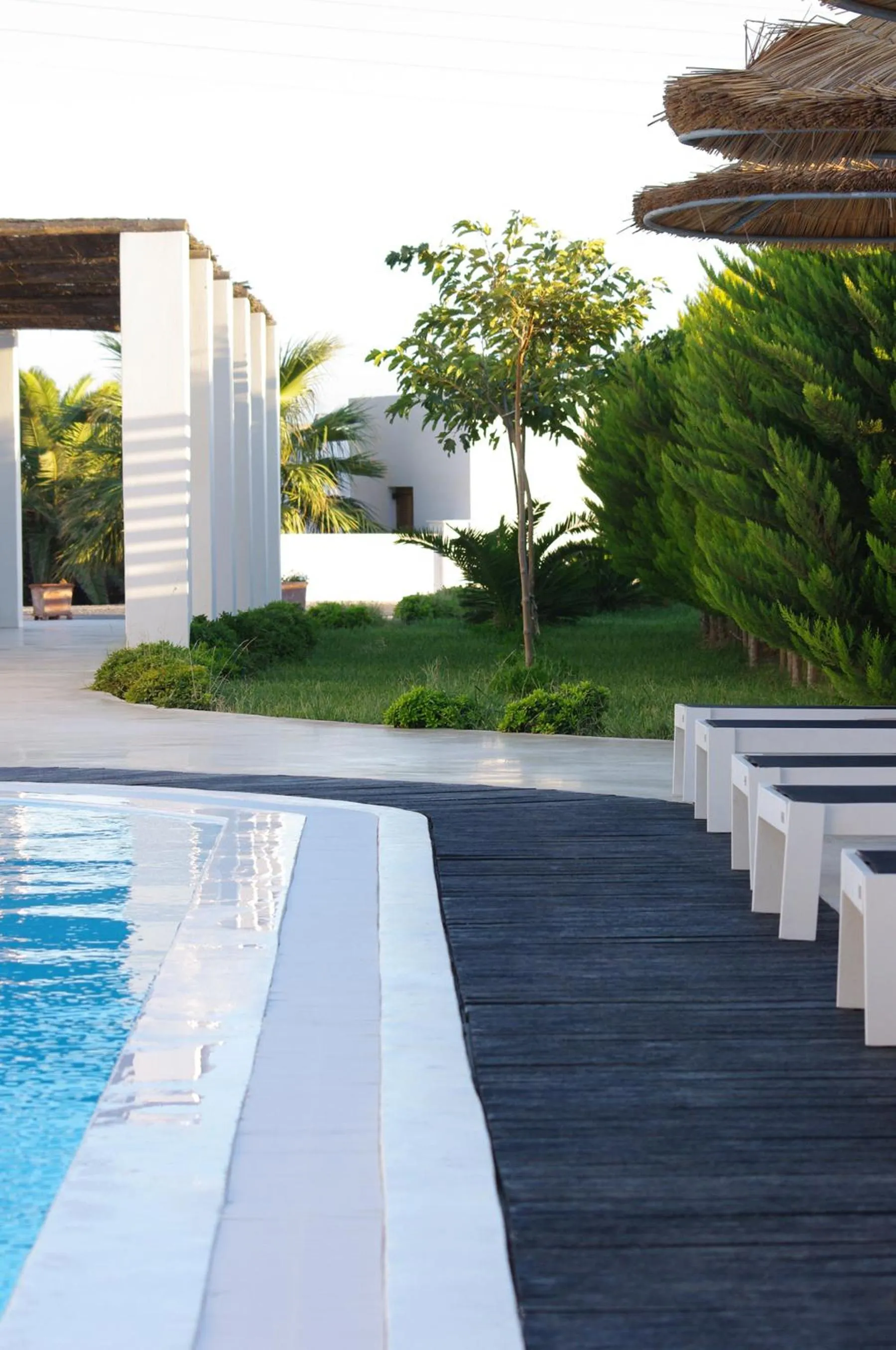 Garden in Villa Markezinis